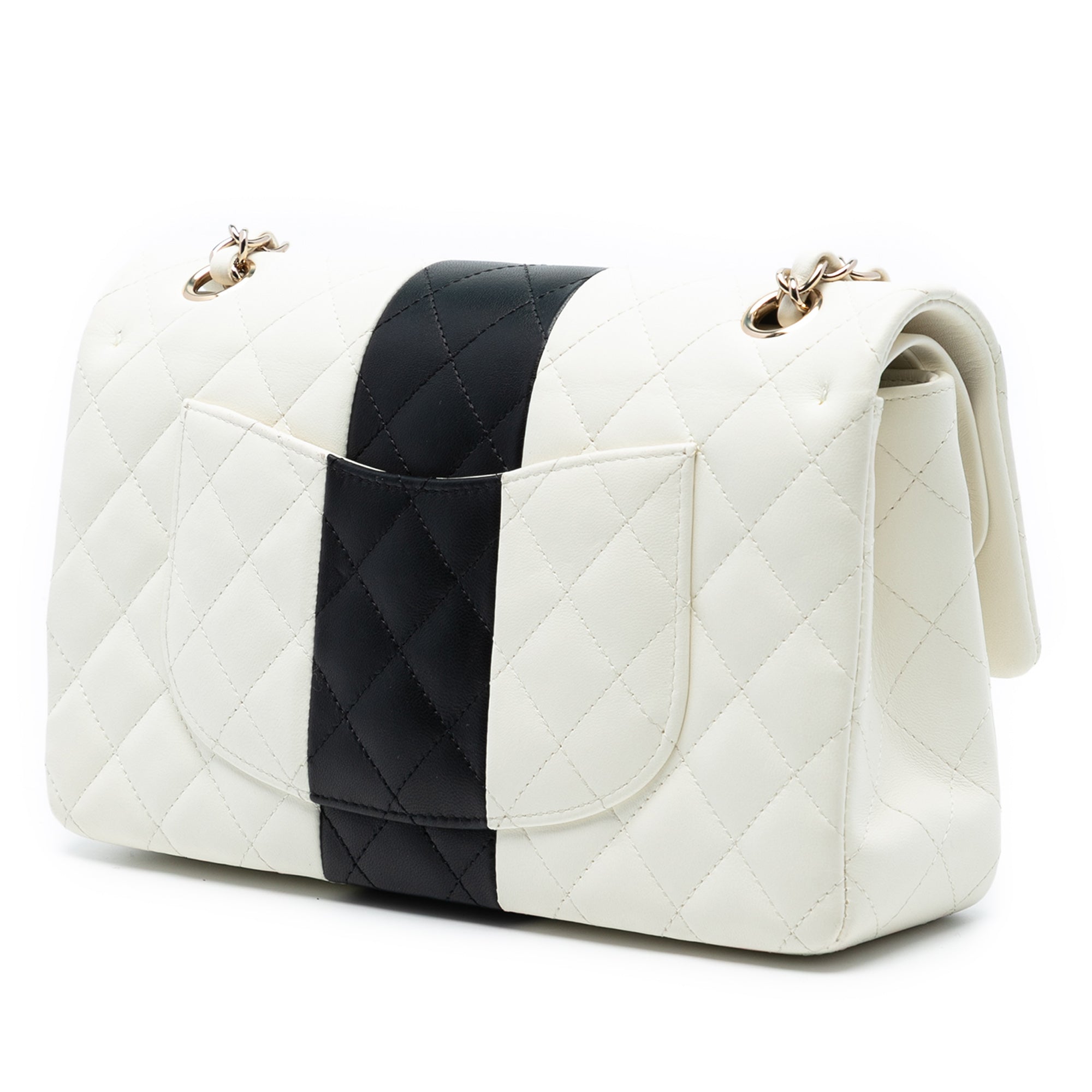 Chanel Medium Classic Bi Stripe Lambskin Double Flap - image 2