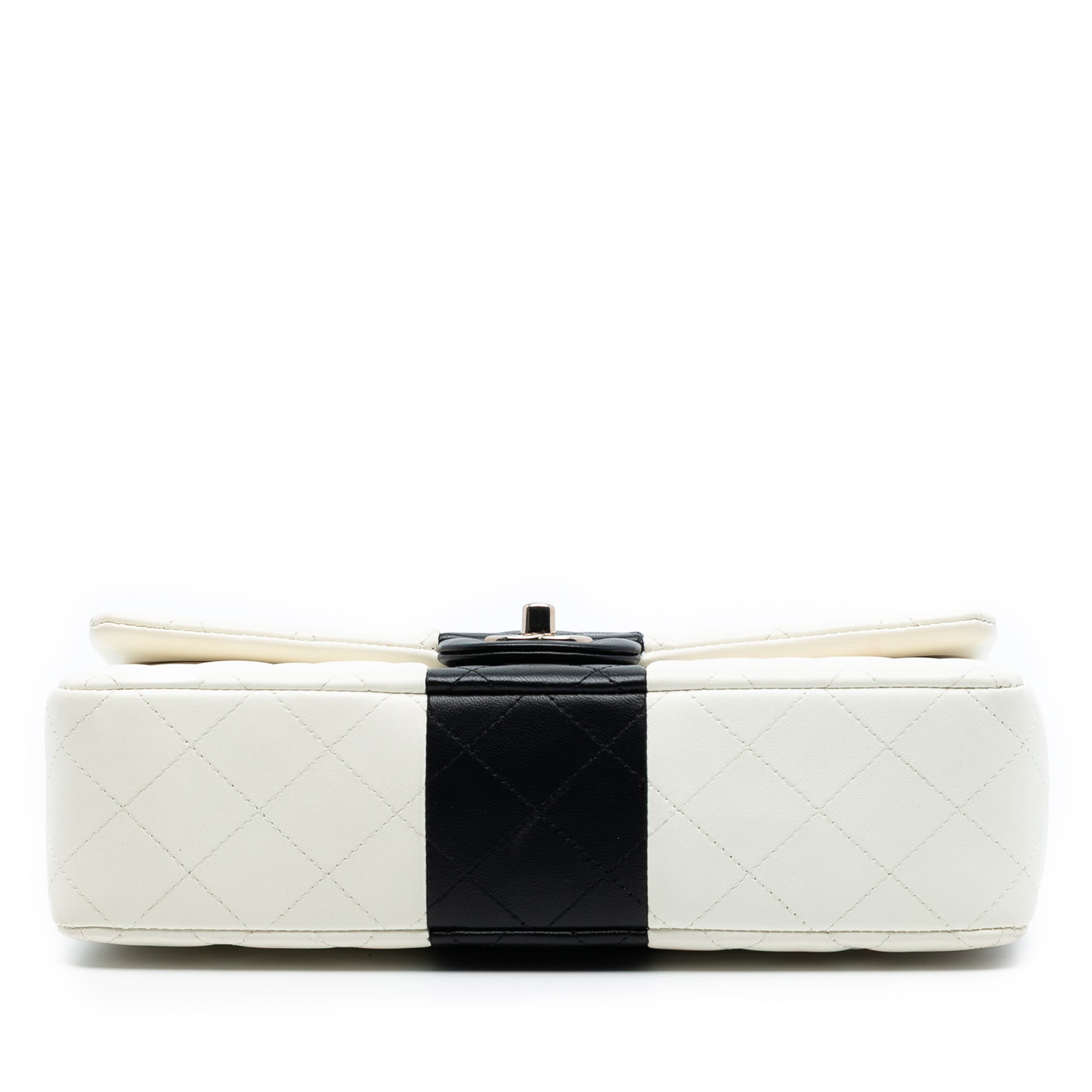 Chanel Medium Classic Bi Stripe Lambskin Double Flap - image 3