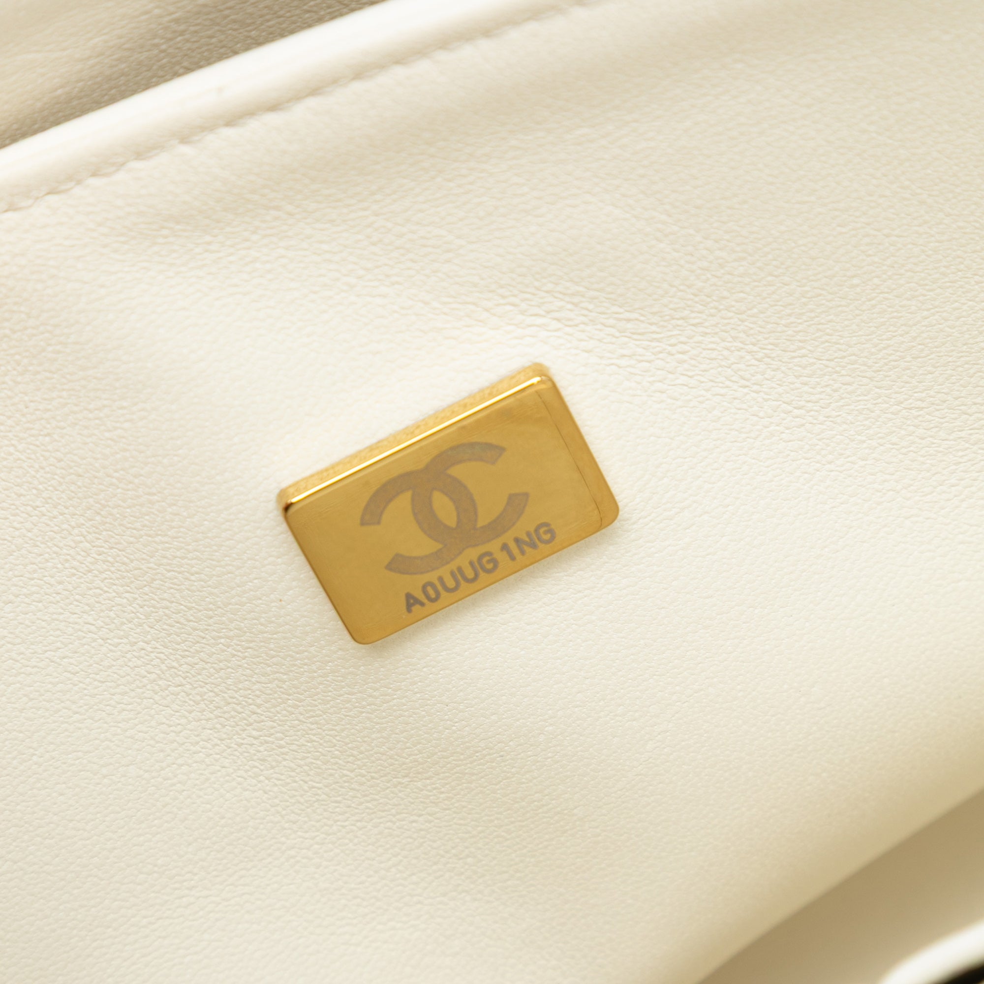 Chanel Medium Classic Bi Stripe Lambskin Double Flap - image 6