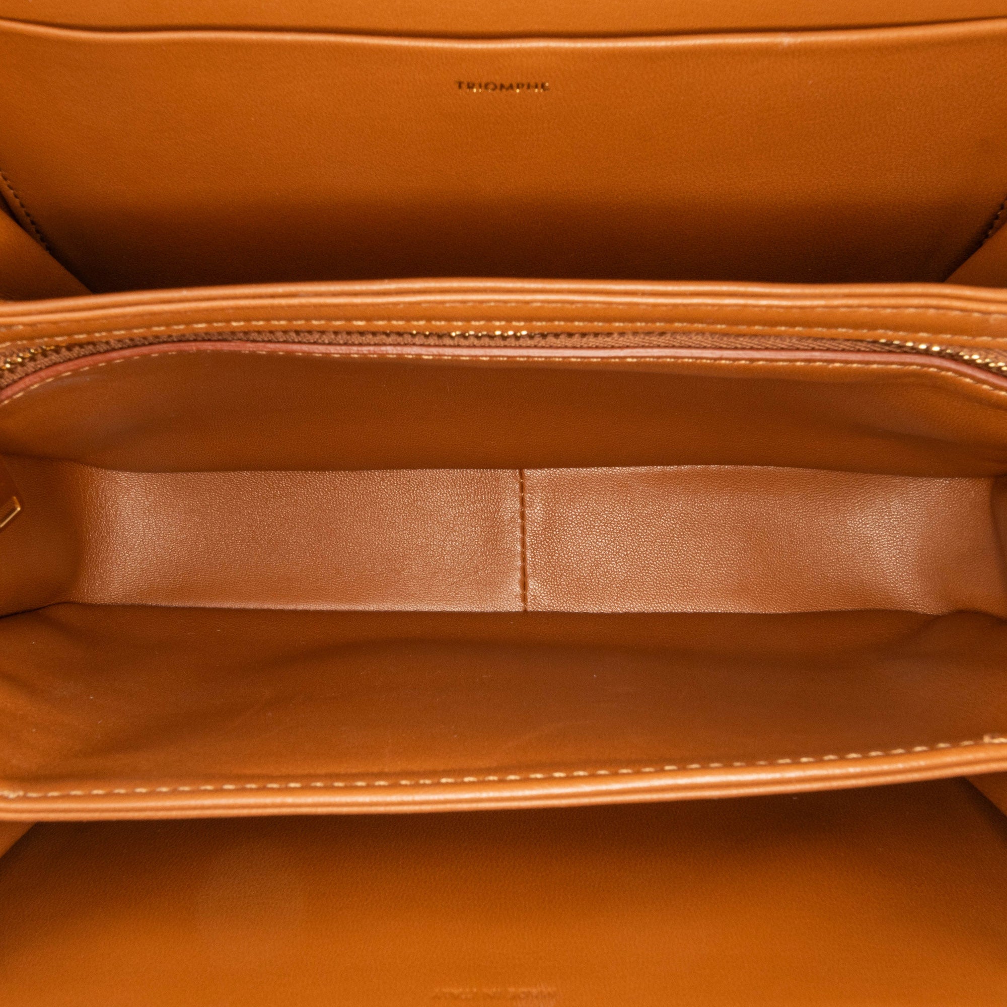 Celine Classique Canvas and Calfskin Triomphe Crossbody - image 4
