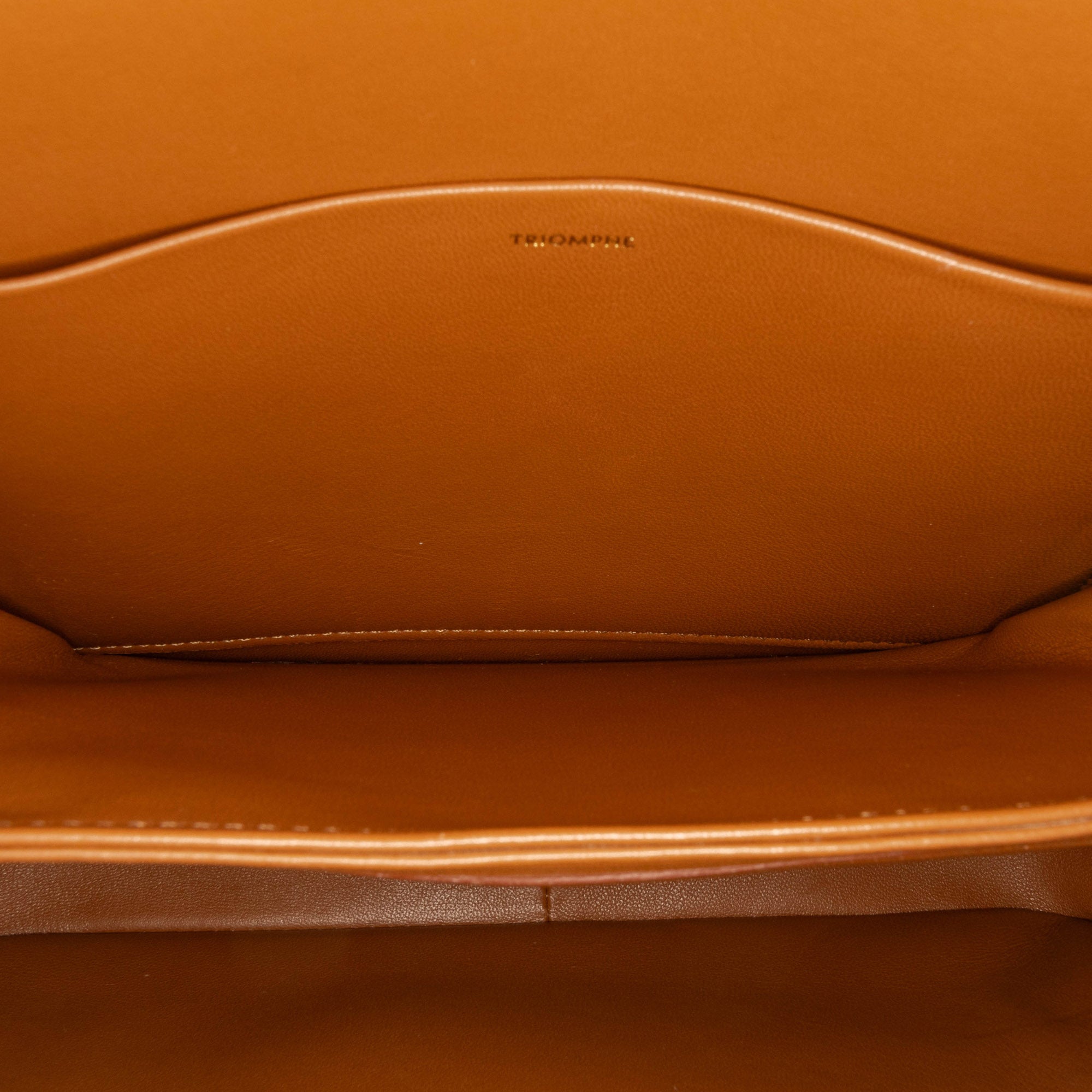 Celine Classique Canvas and Calfskin Triomphe Crossbody - image 5