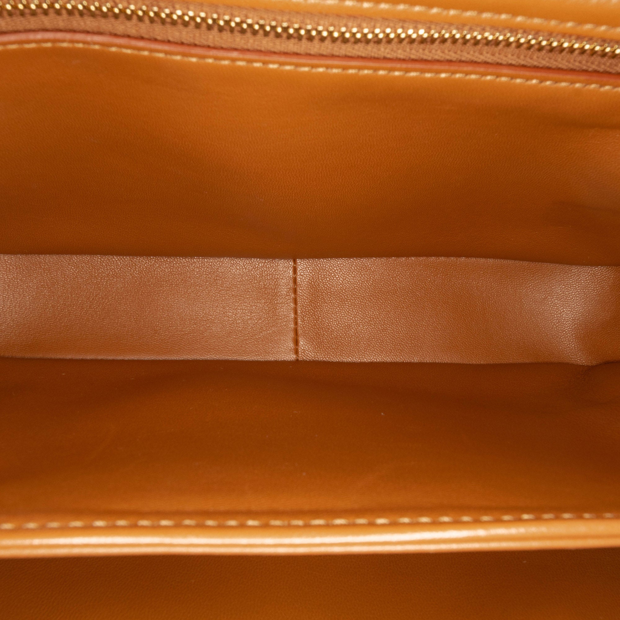 Celine Classique Canvas and Calfskin Triomphe Crossbody - image 6