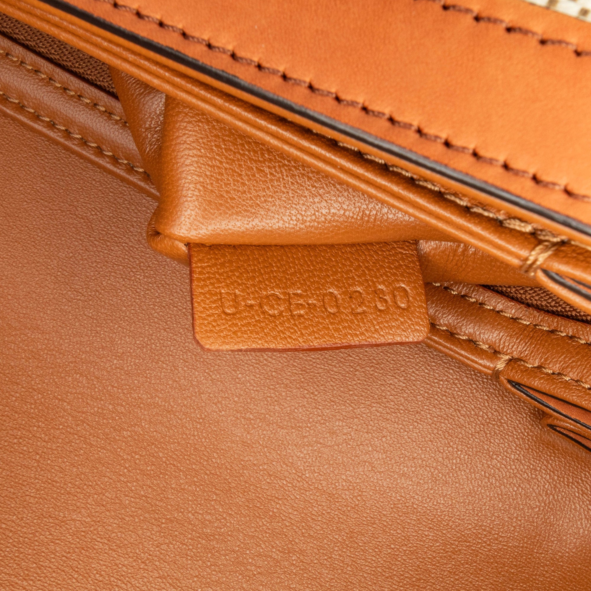 Celine Classique Canvas and Calfskin Triomphe Crossbody - image 9