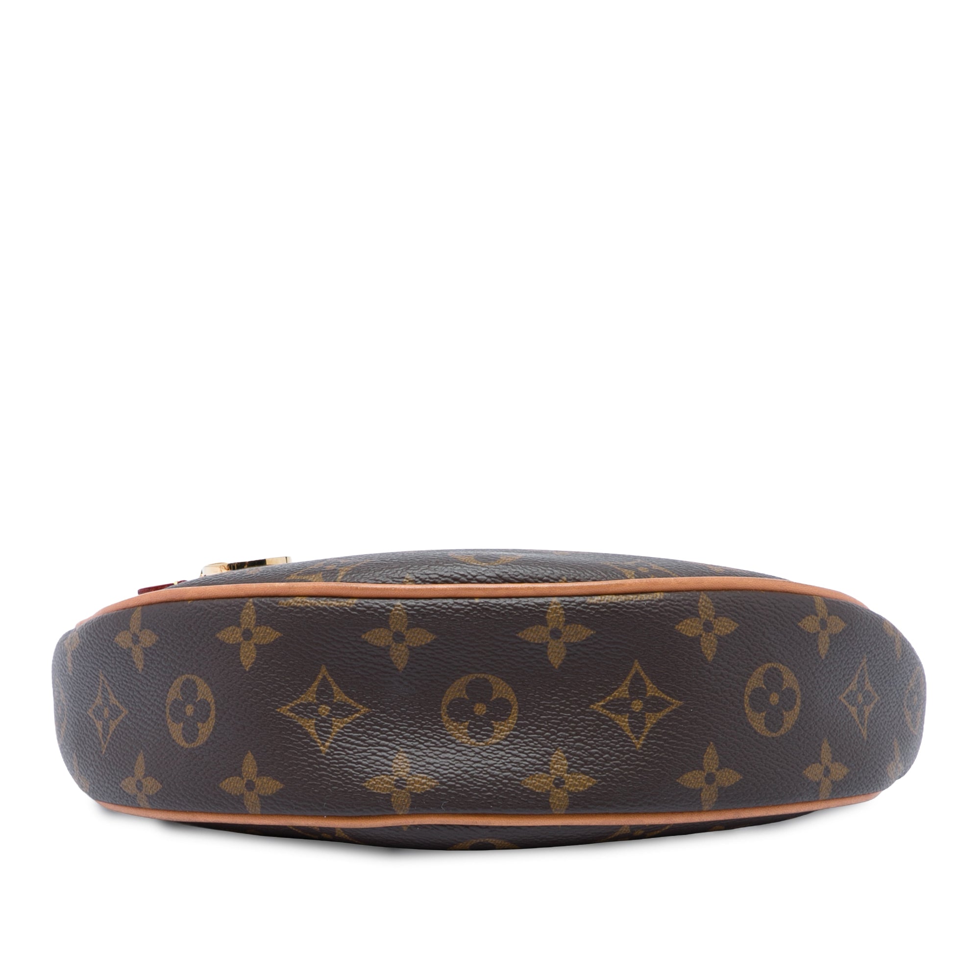 Louis Vuitton Monogram Loop - image 3