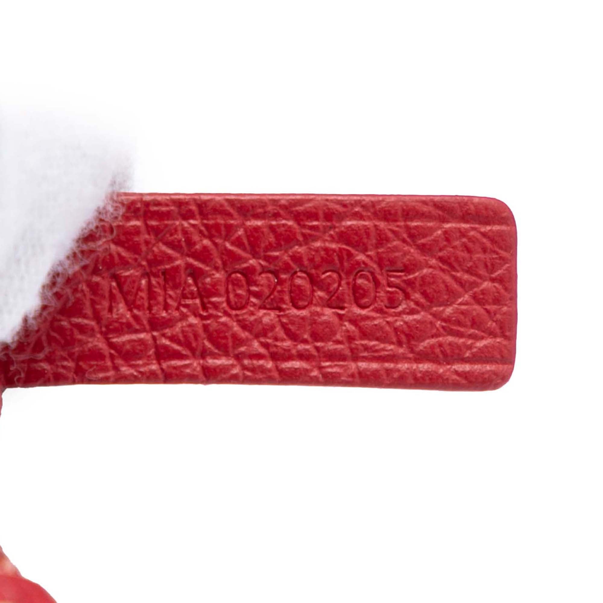 Goyard Goyardine Saint Louis GM - image 6