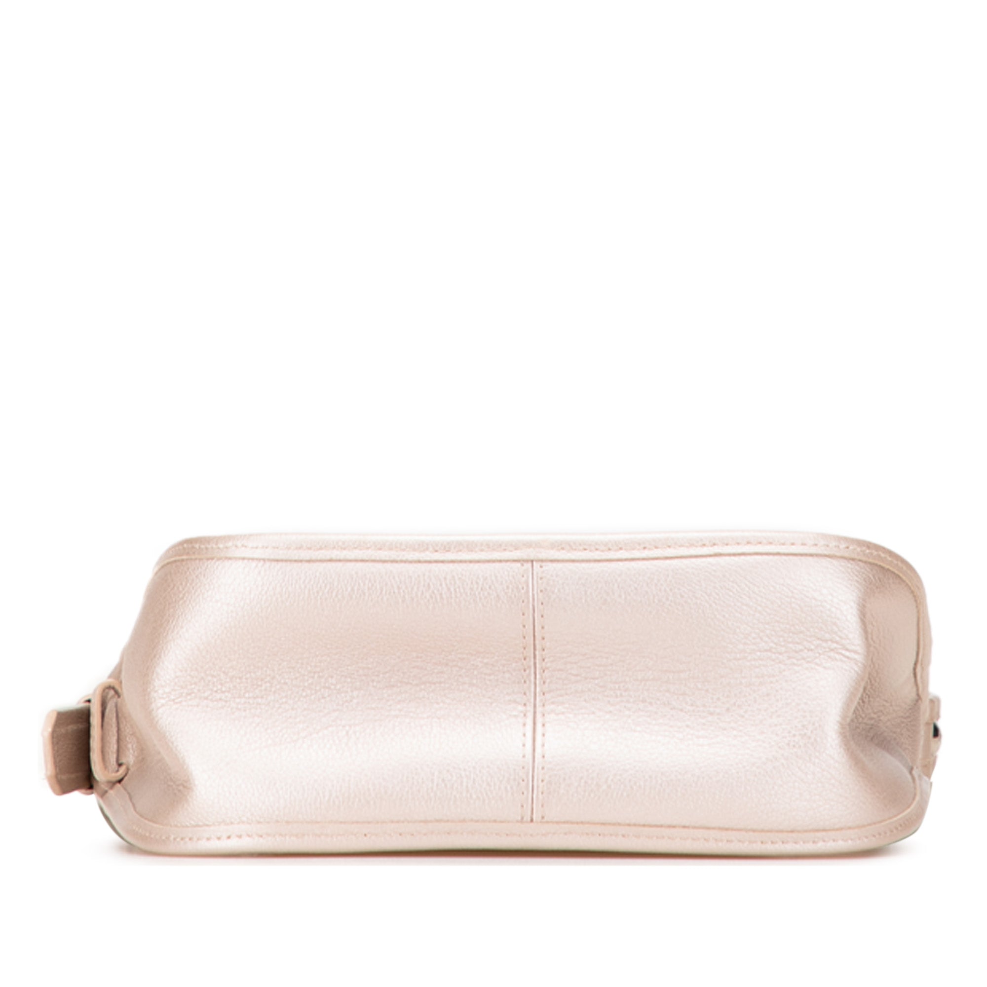 Chanel Metallic Calfskin Quilted Jungle Stroll Hobo - image 3