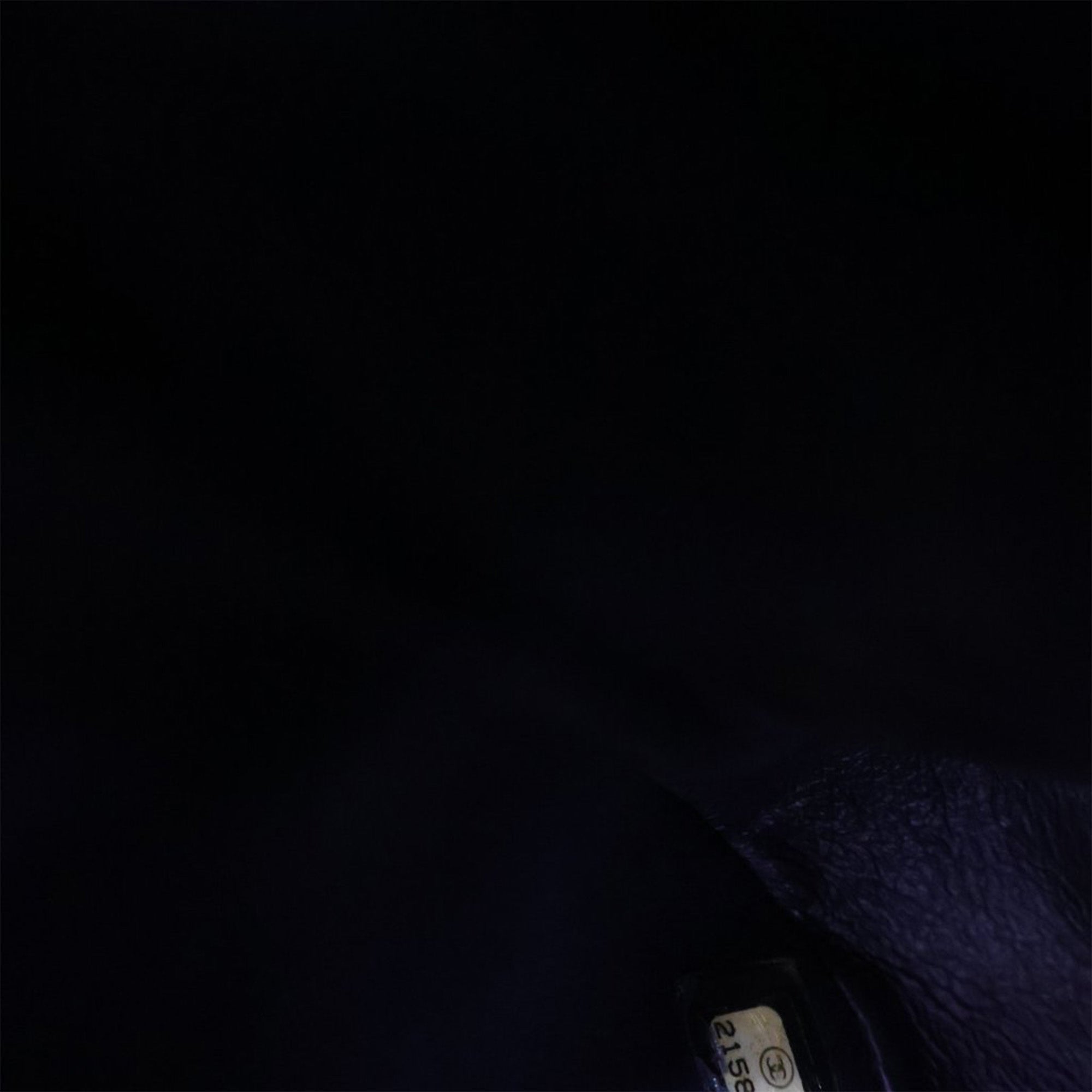 Chanel Quilted Lambskin Elementary Chic Flap - image 7