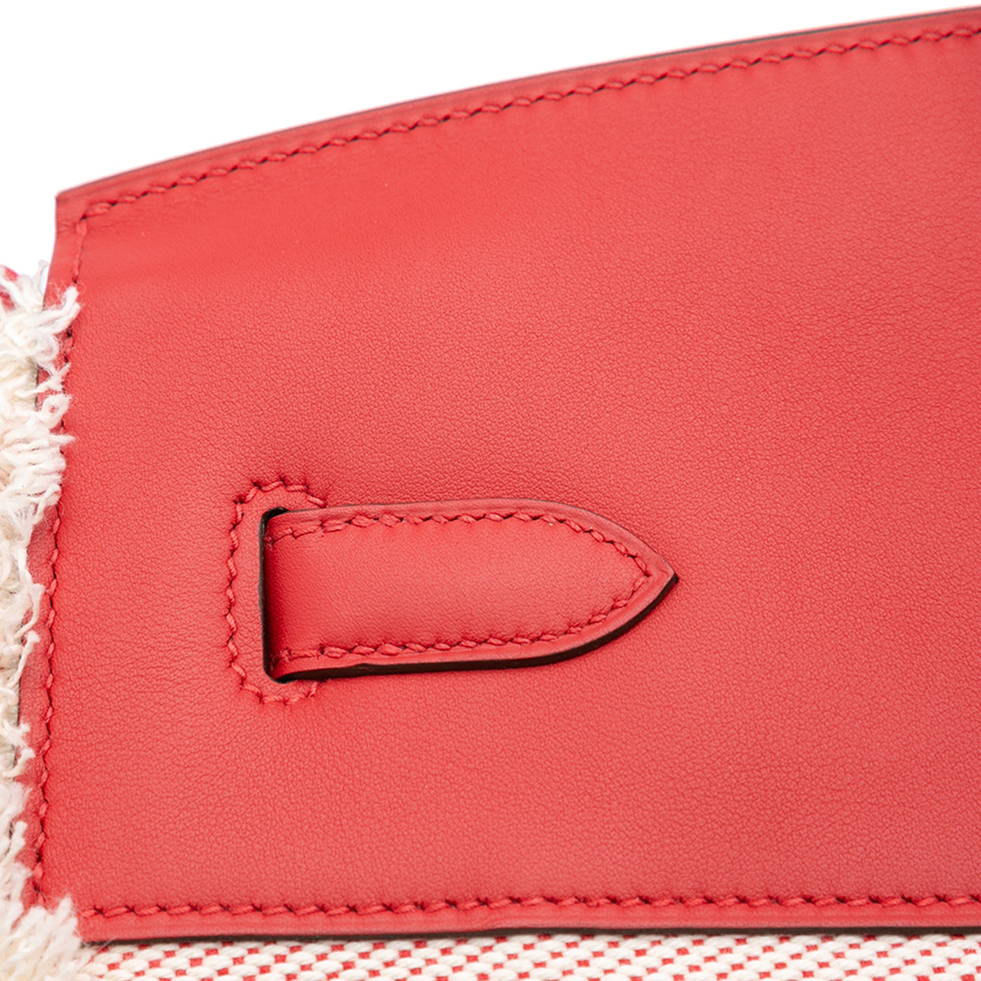 Hermès Toile H and Swift Fray Birkin 35 - image 8