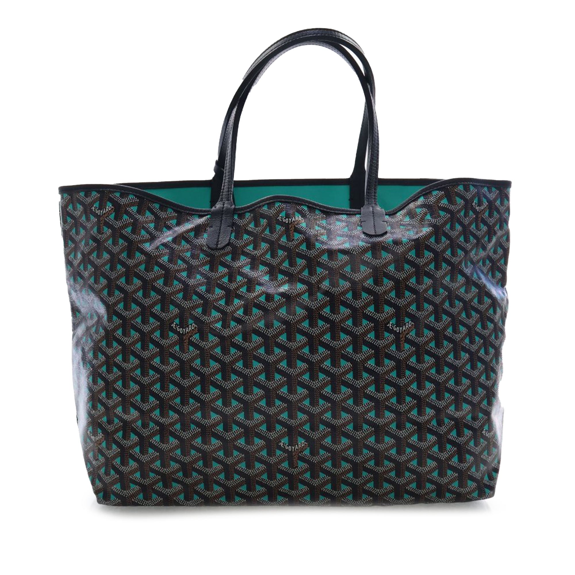 Goyard Goyardine Claire Voie Saint Louis PM - image 1