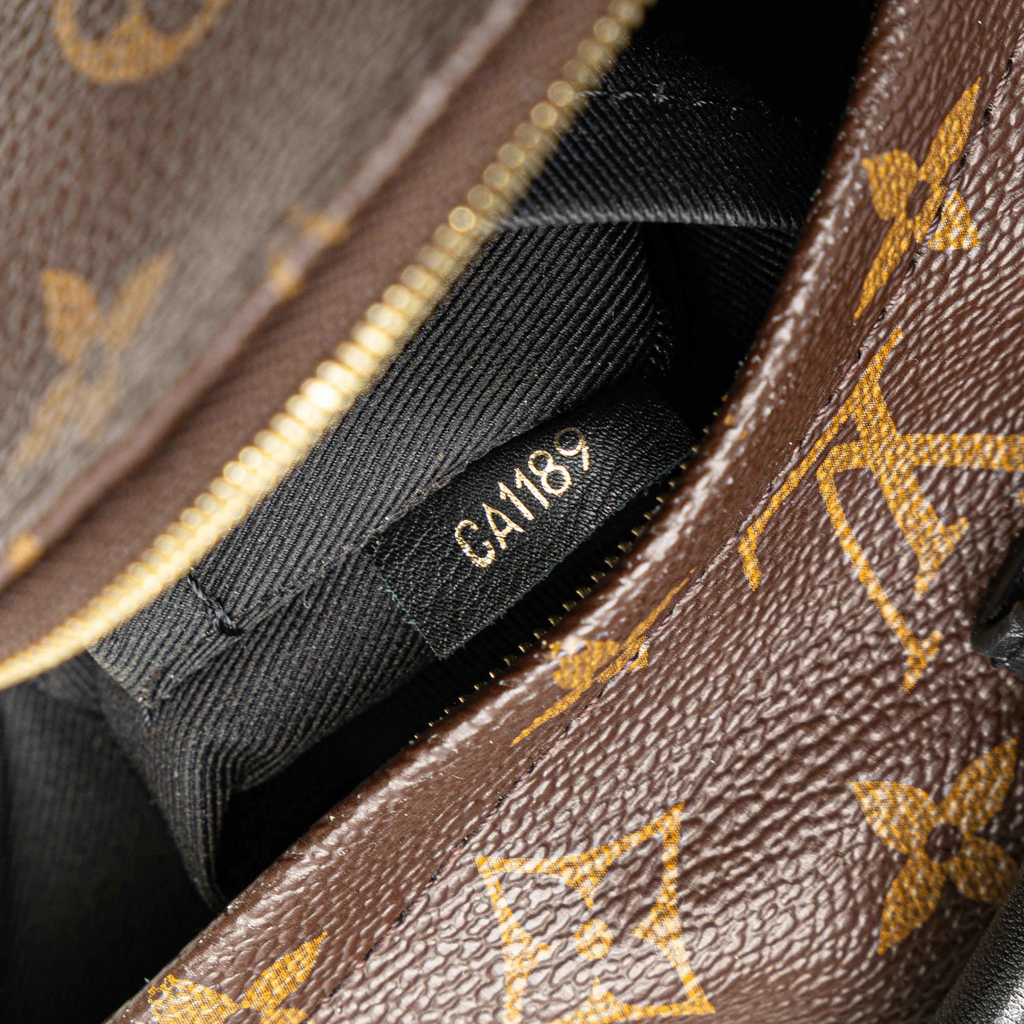 Louis Vuitton Monogram Mini Palm Springs - image 7