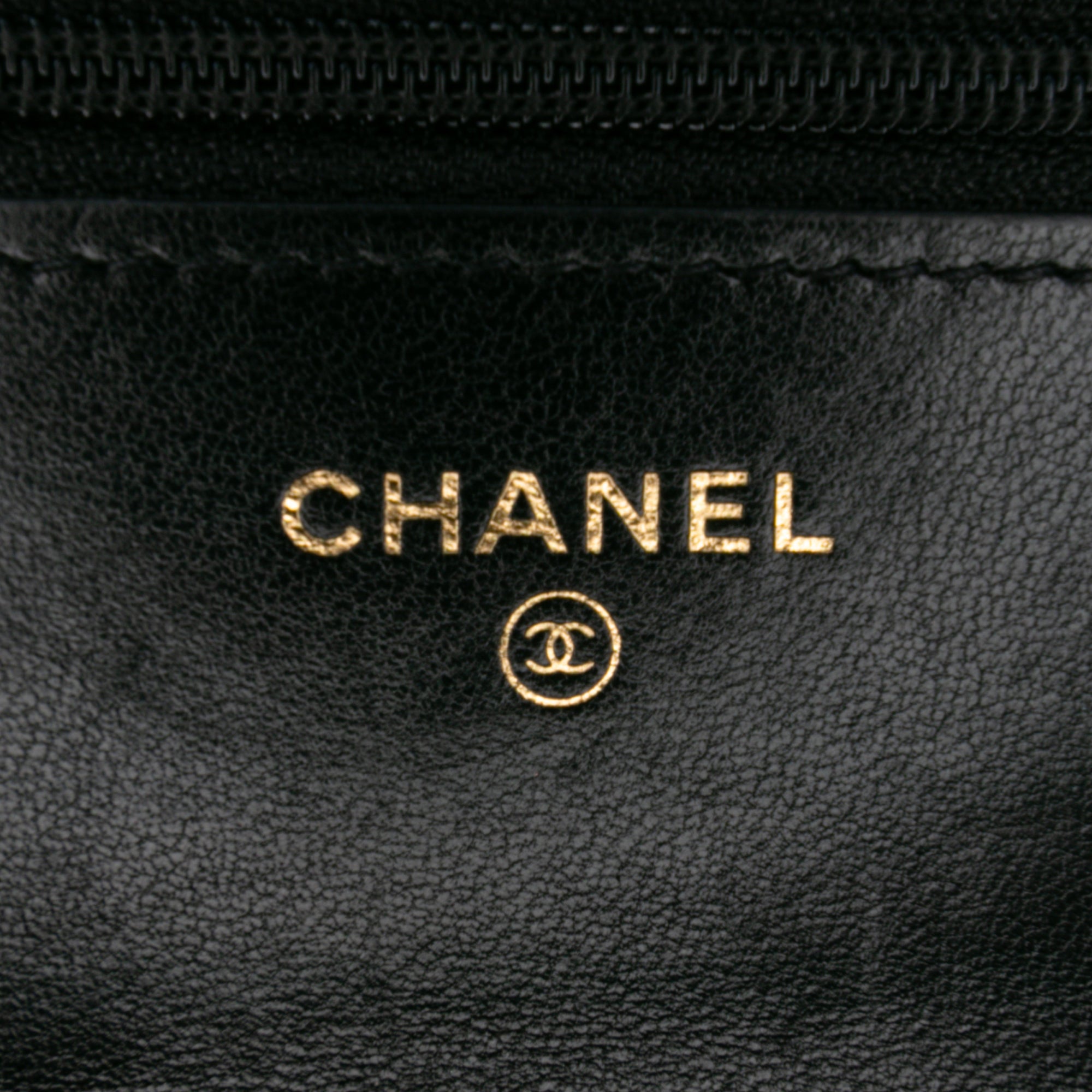 Chanel Quilted Lambskin 19 Wallet on Chain - image 5