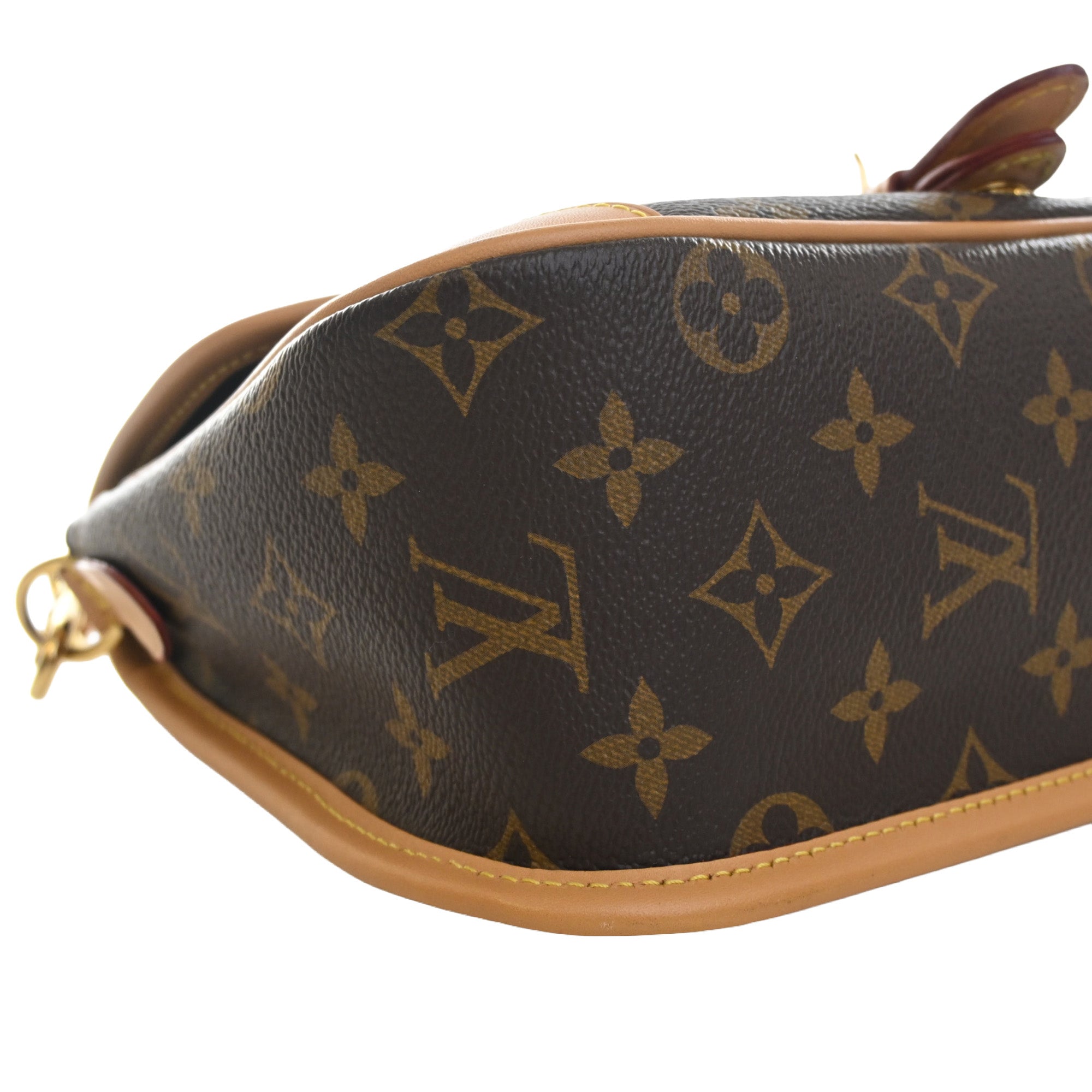Louis Vuitton Monogram Diane - image 10