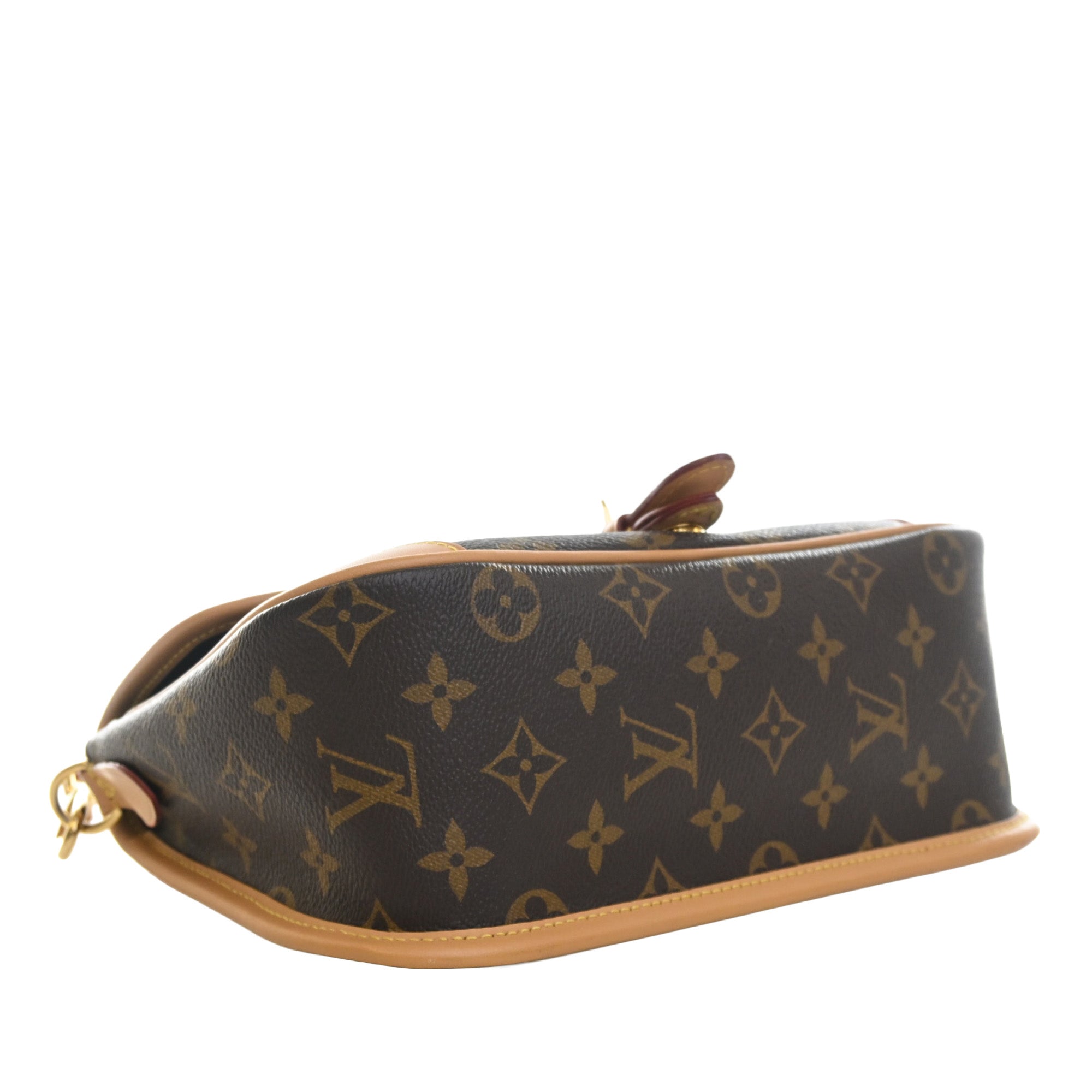 Louis Vuitton Monogram Diane - image 13