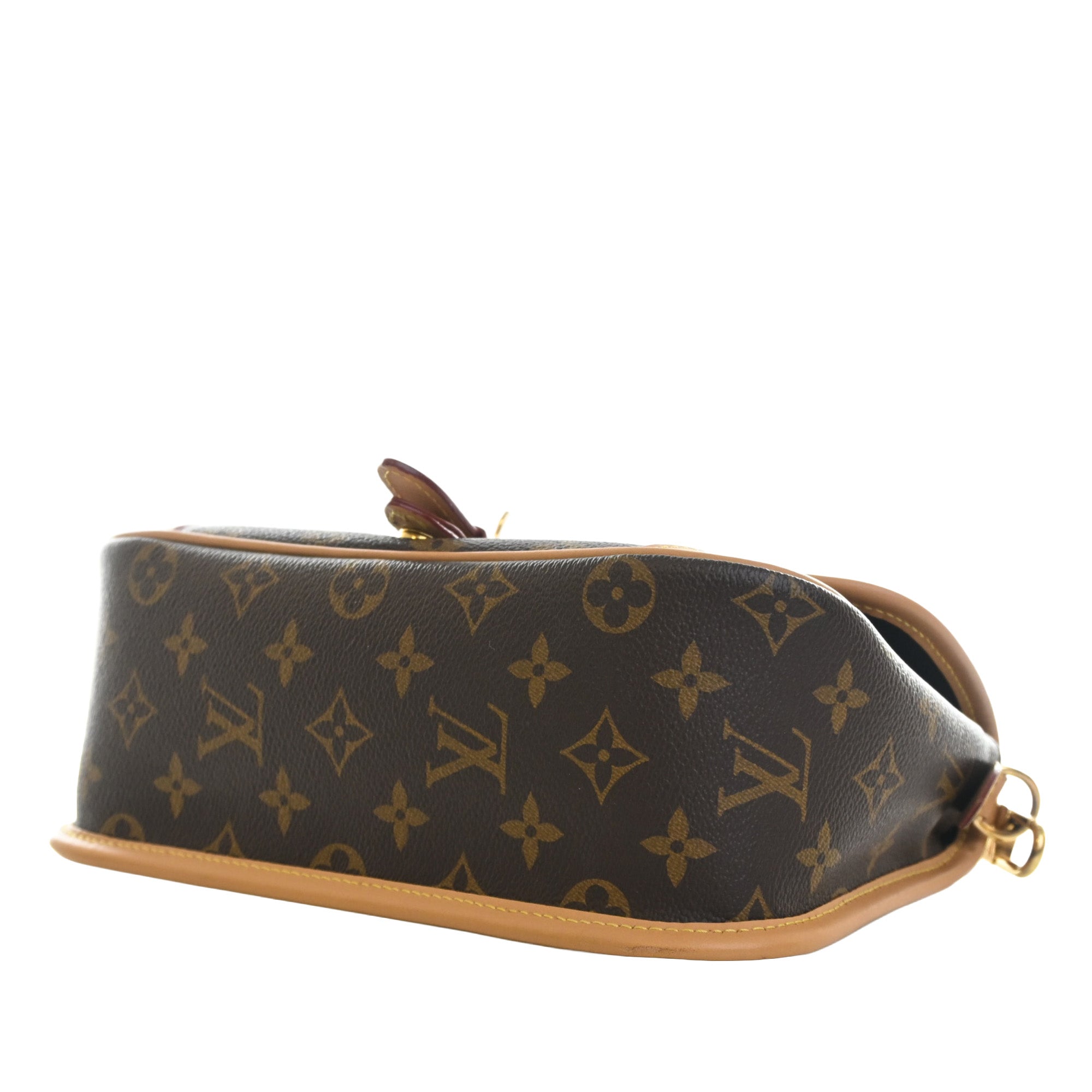 Louis Vuitton Monogram Diane - image 14