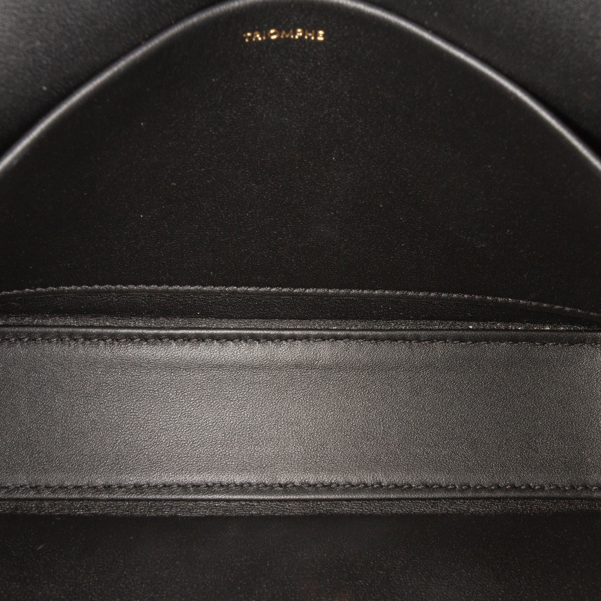 Celine Shiny Calfskin Claude Shoulder Bag - image 4