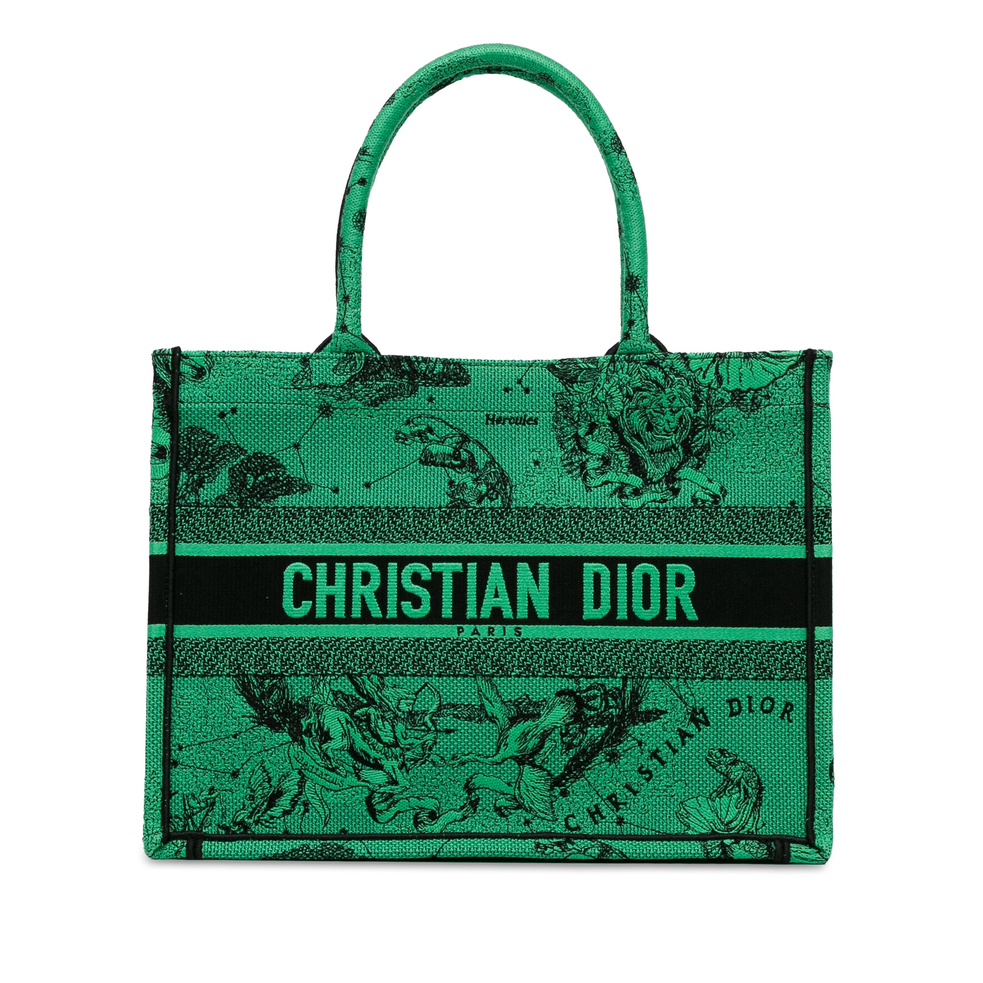 Dior Medium Embroidered Canvas Book Tote - image 1