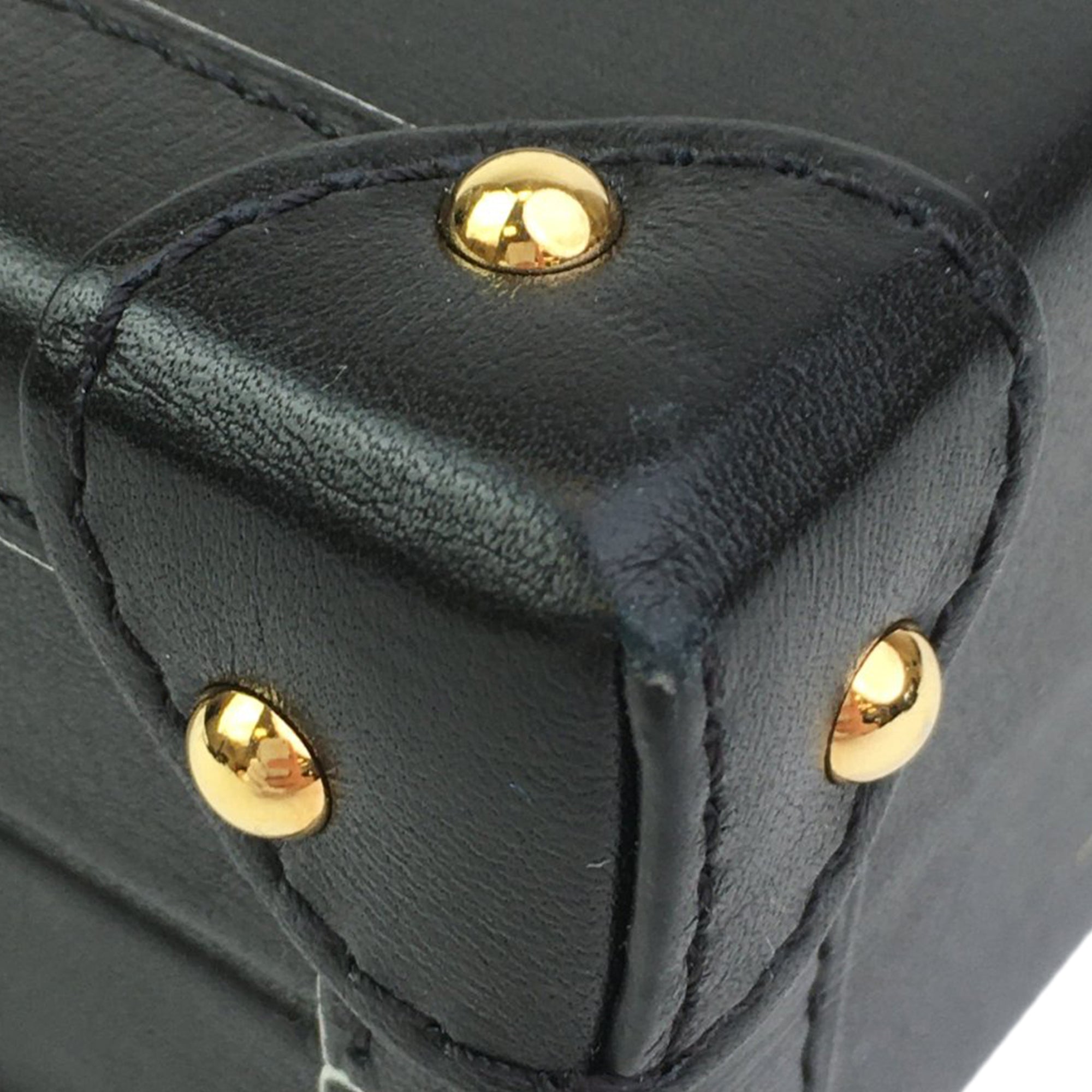 Louis Vuitton Leather Golden Light Petite Malle - image 11