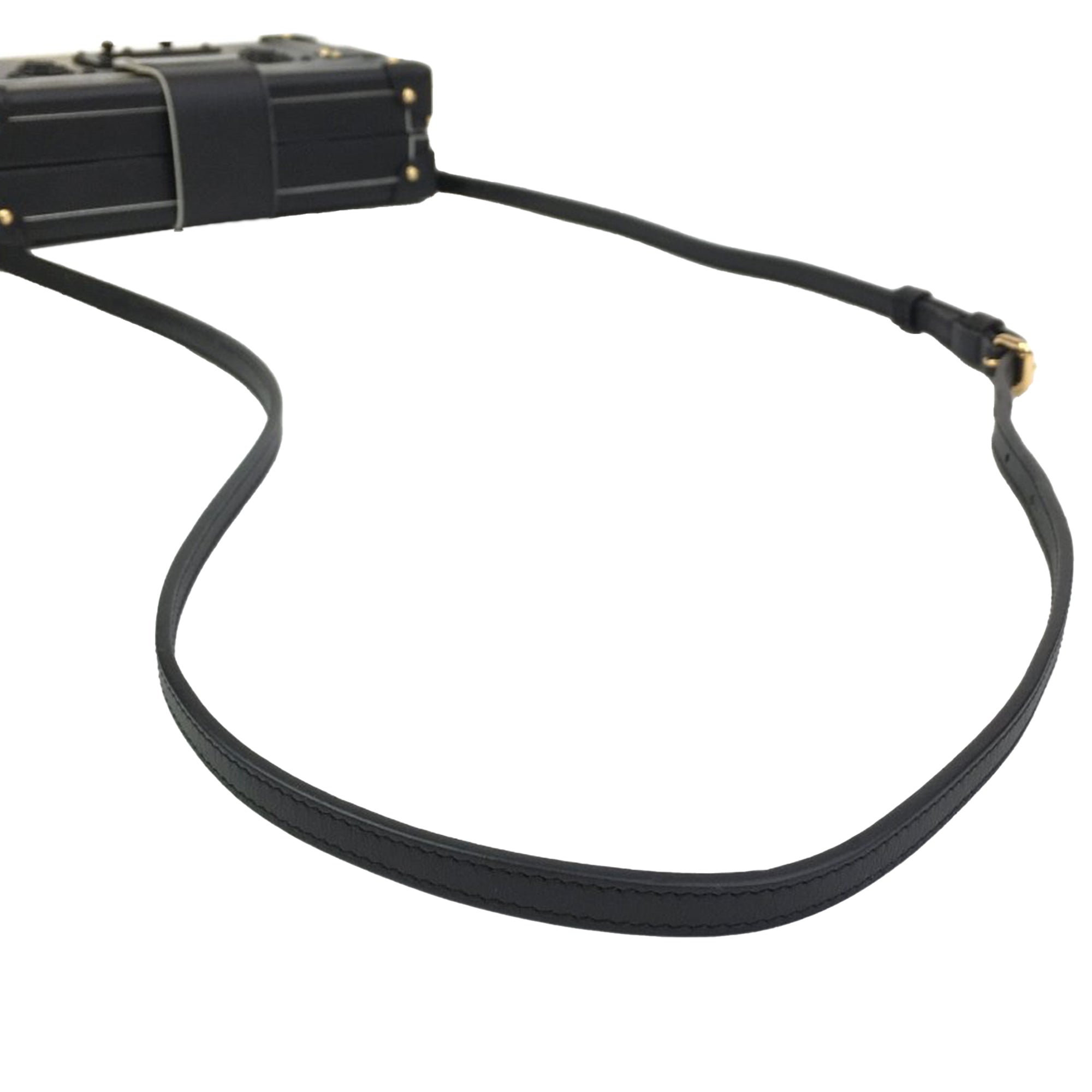 Louis Vuitton Leather Golden Light Petite Malle - image 12