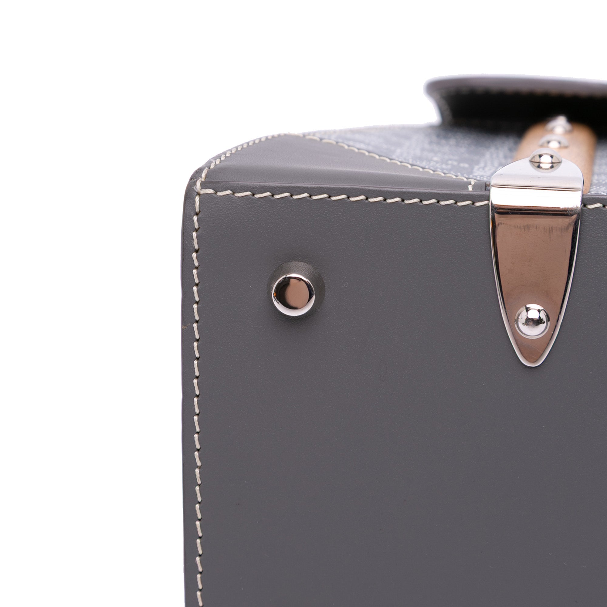 Goyard Goyardine Saigon Structured PM - image 8