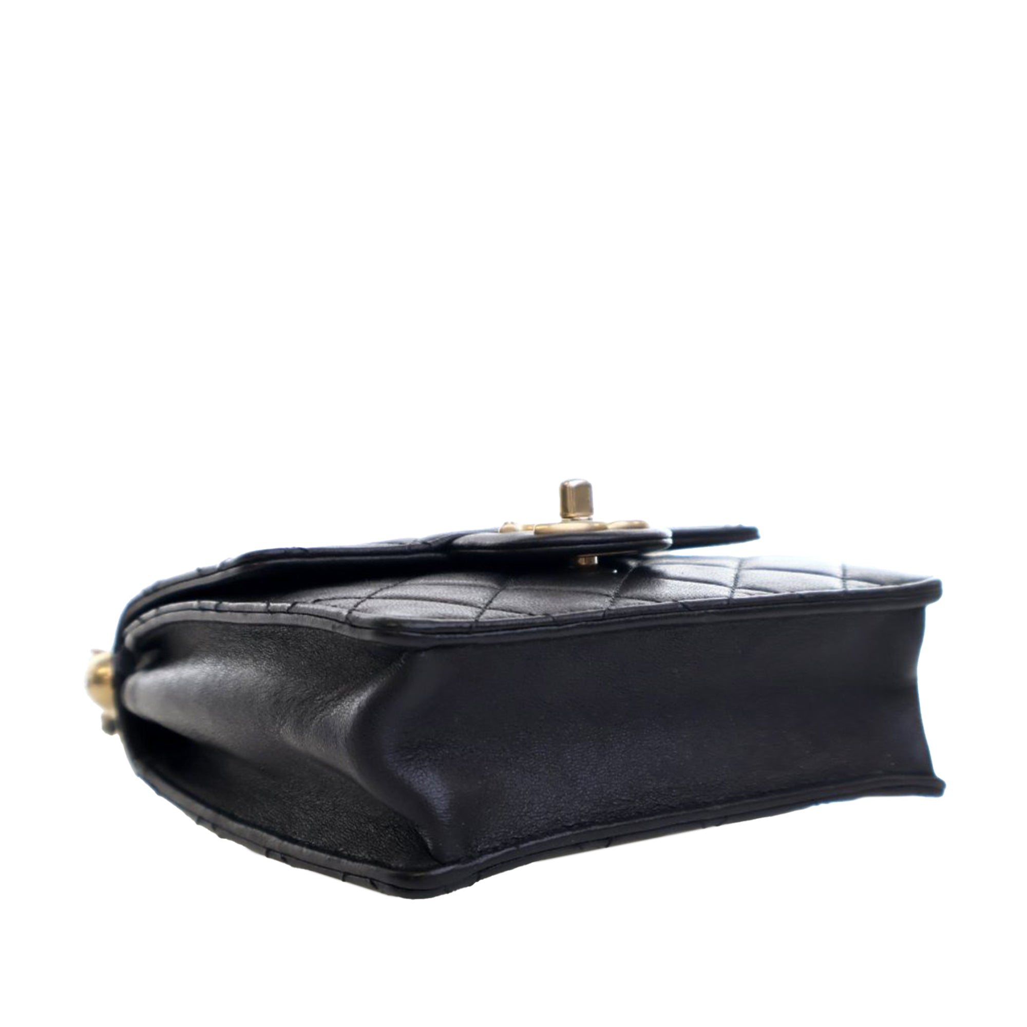 Chanel Small Quilted Goatskin Chic Pearls Flap - image 14