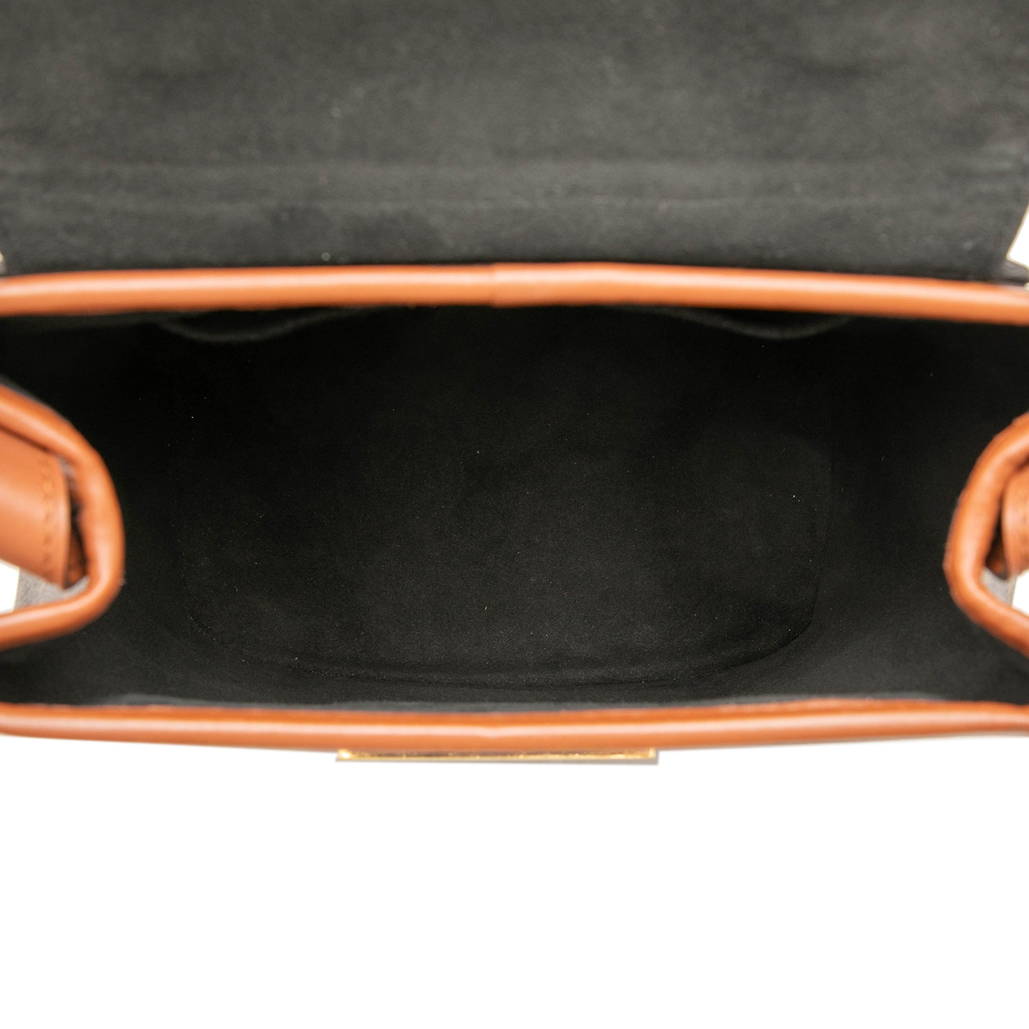Louis Vuitton Monogram Reverse Dauphine Backpack PM - image 4