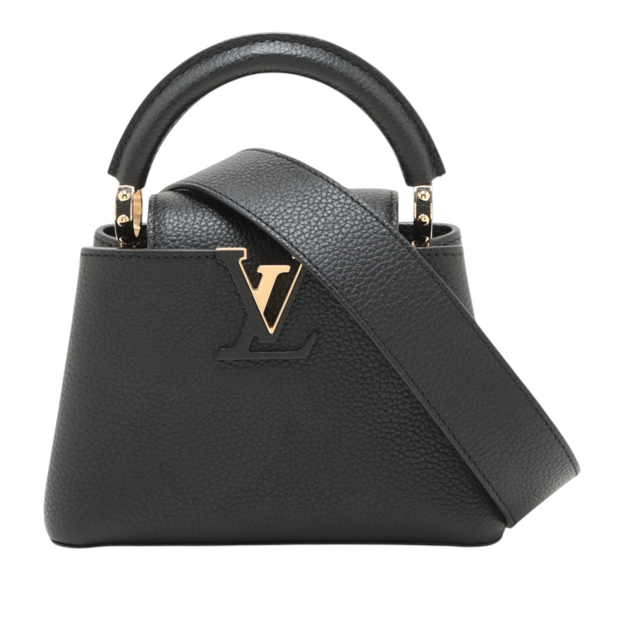 Louis Vuitton Taurillon Mini Capucines - image 1