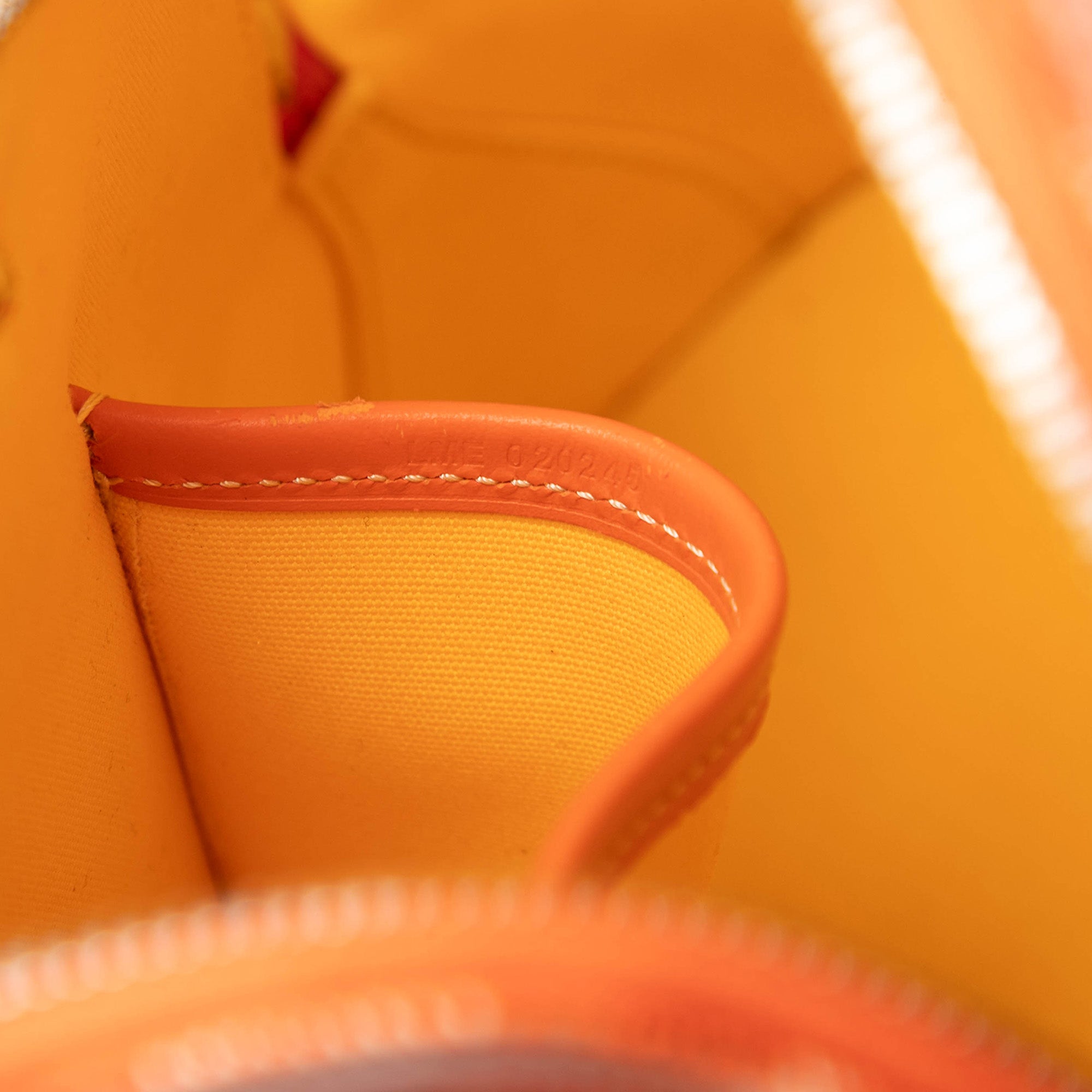 Goyard Goyardine Vendome Mini - image 6