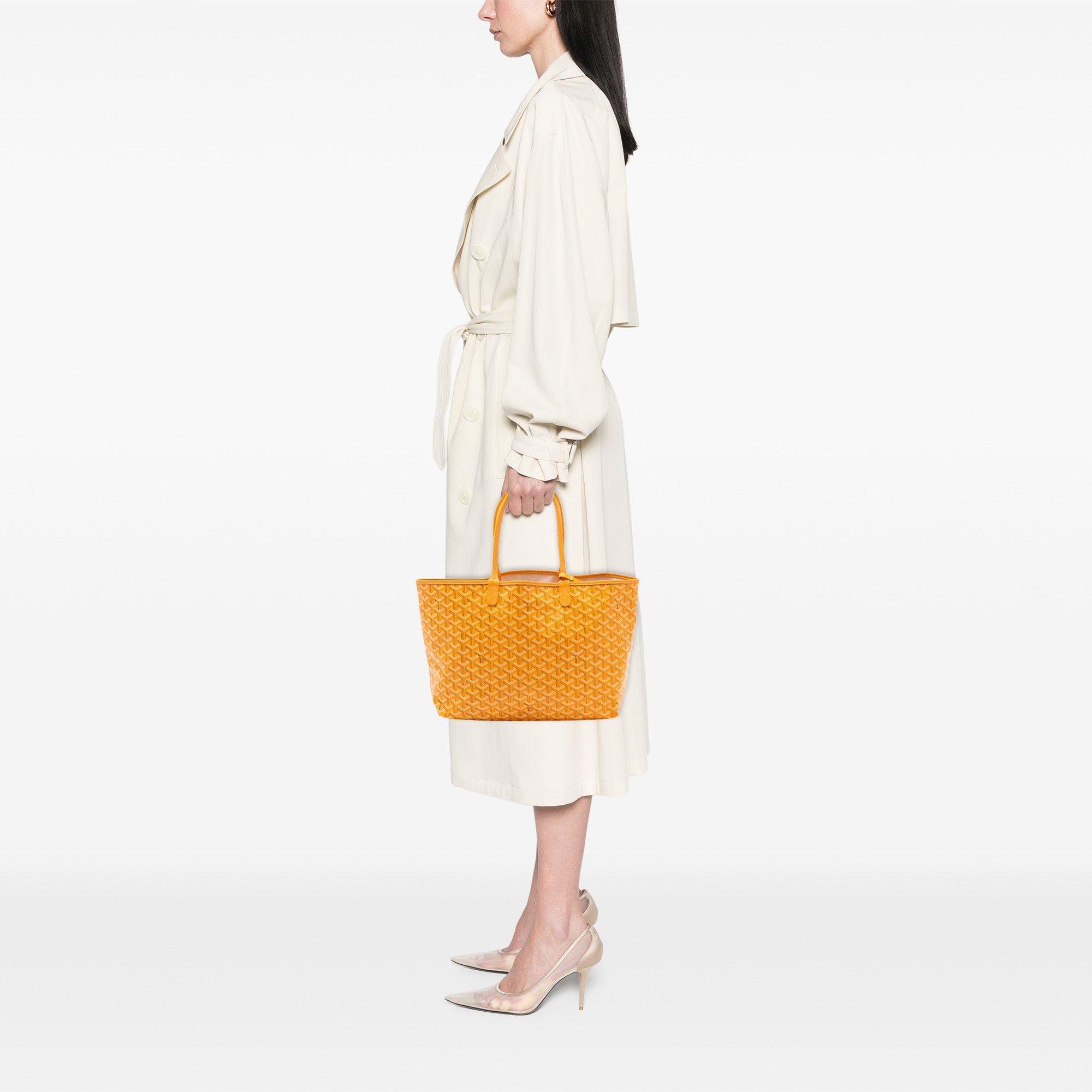 Goyard Goyardine Saint Louis PM - image 7