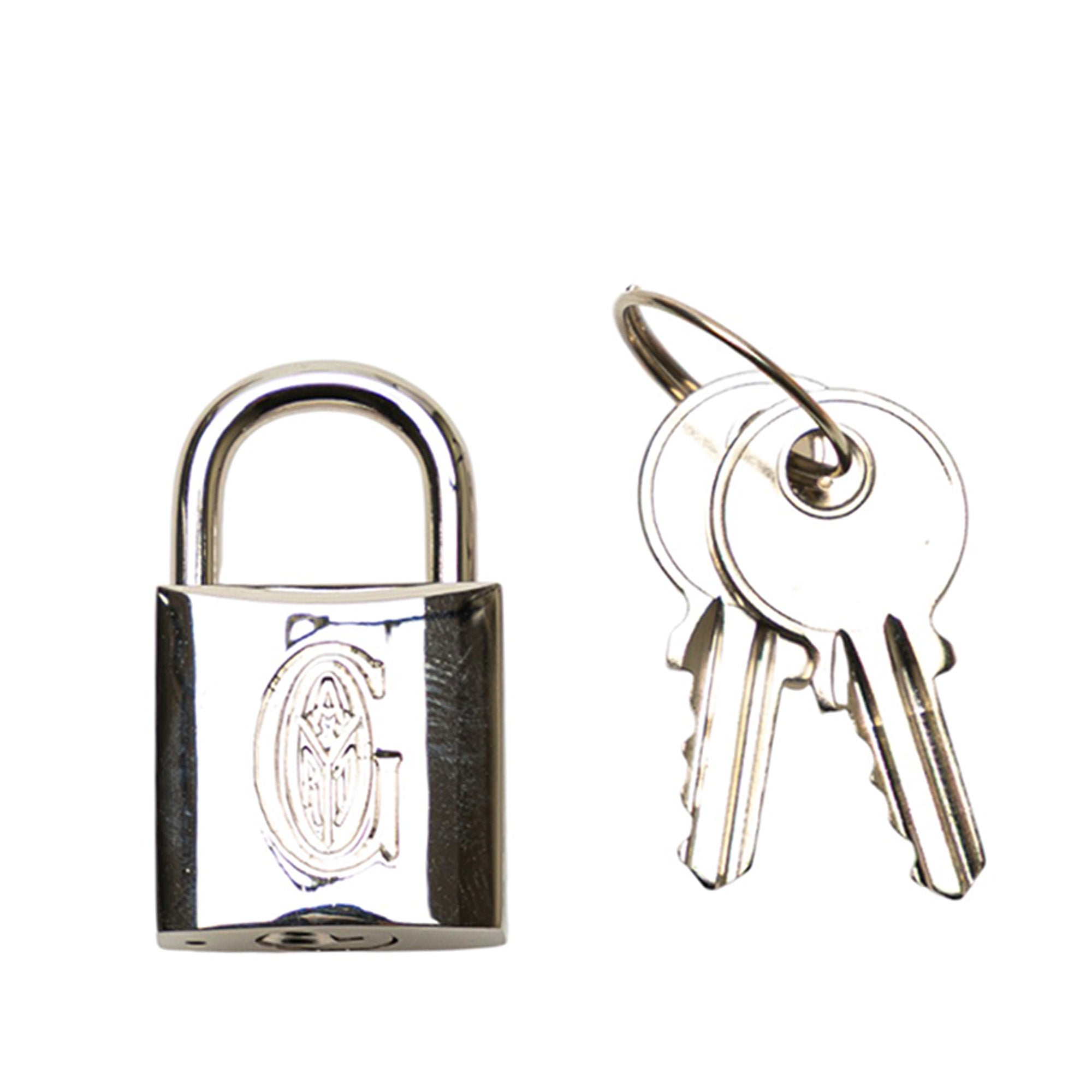 Goyard Goyardine Ambassade PM - image 9