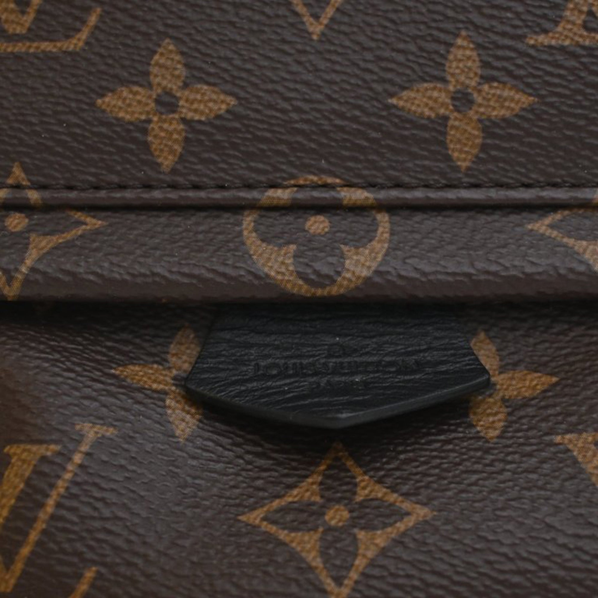 Louis Vuitton Monogram Mini Palm Springs - image 10