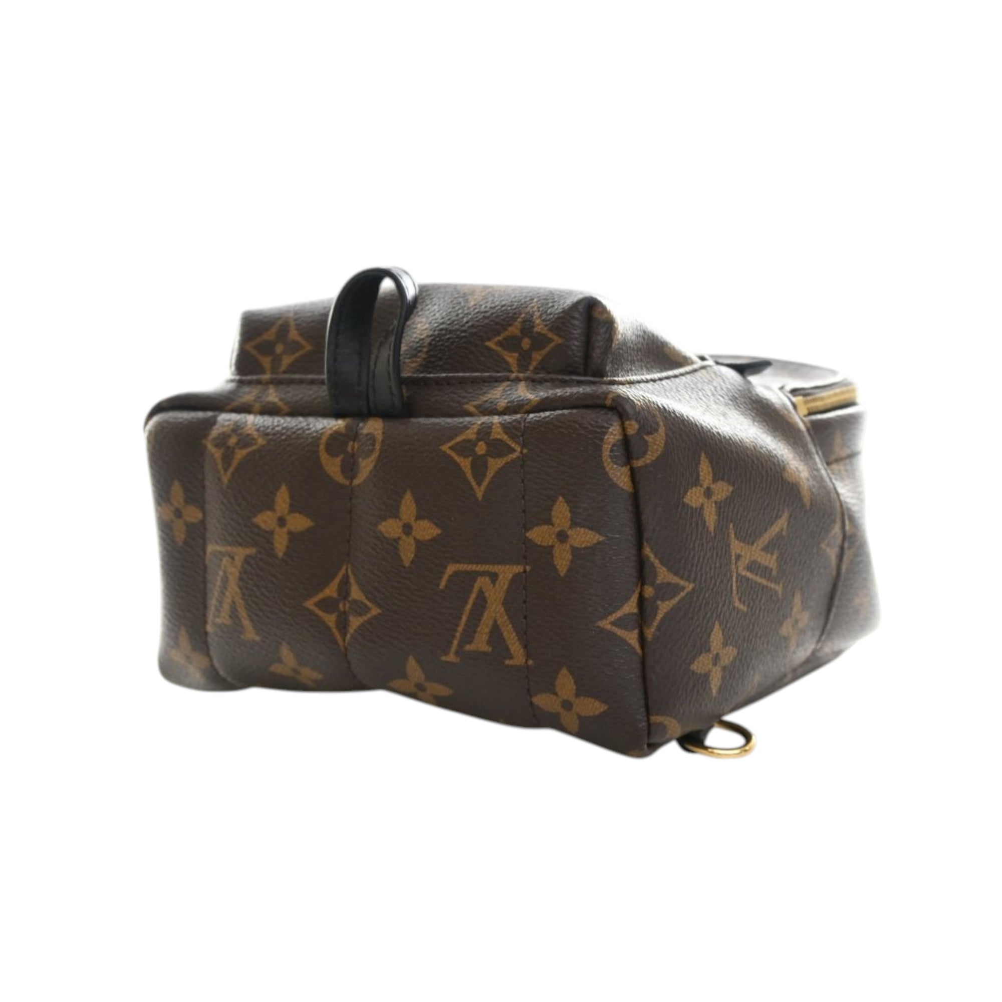 Louis Vuitton Monogram Mini Palm Springs - image 6