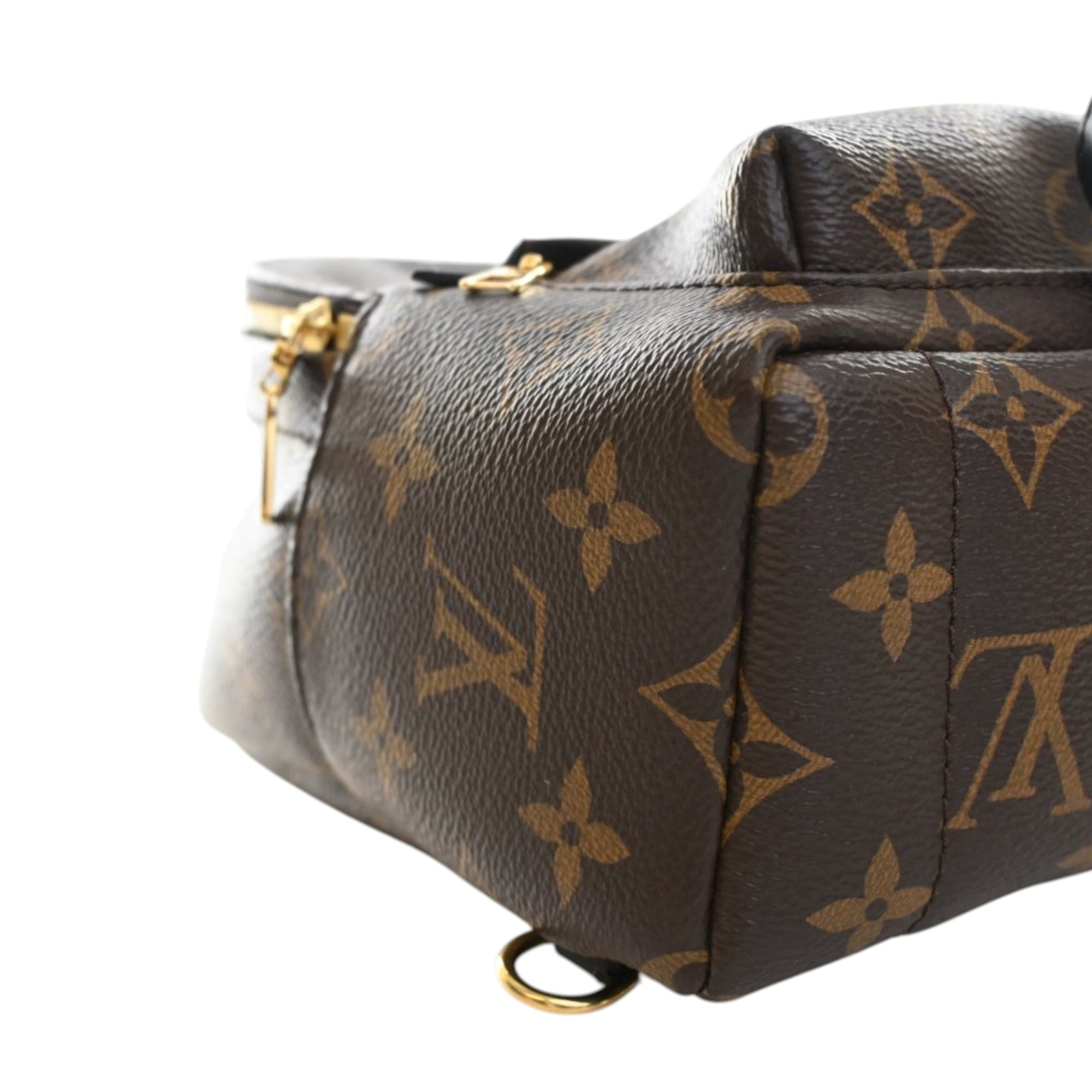 Louis Vuitton Monogram Mini Palm Springs - image 7