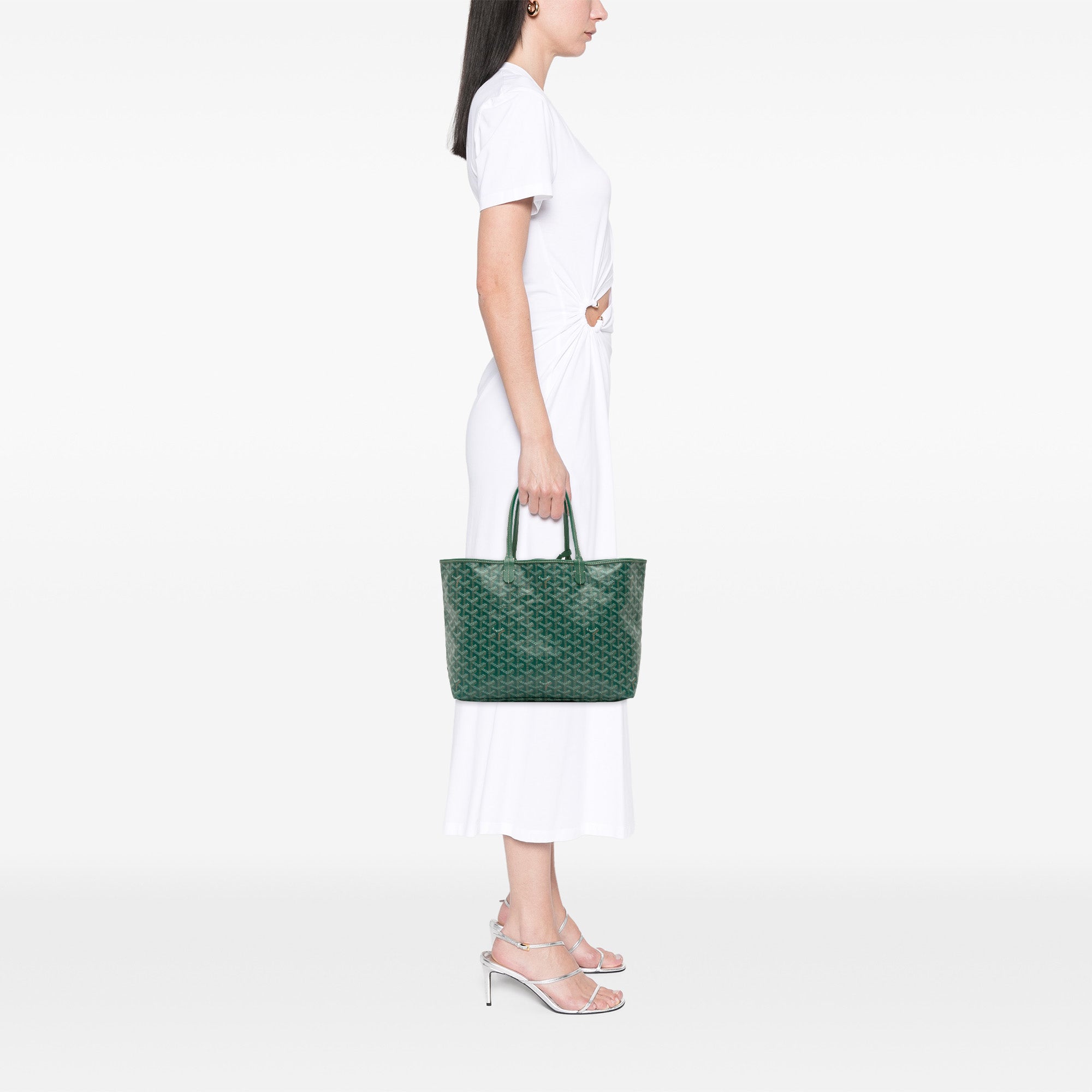 Goyard Goyardine Saint Louis PM - image 10