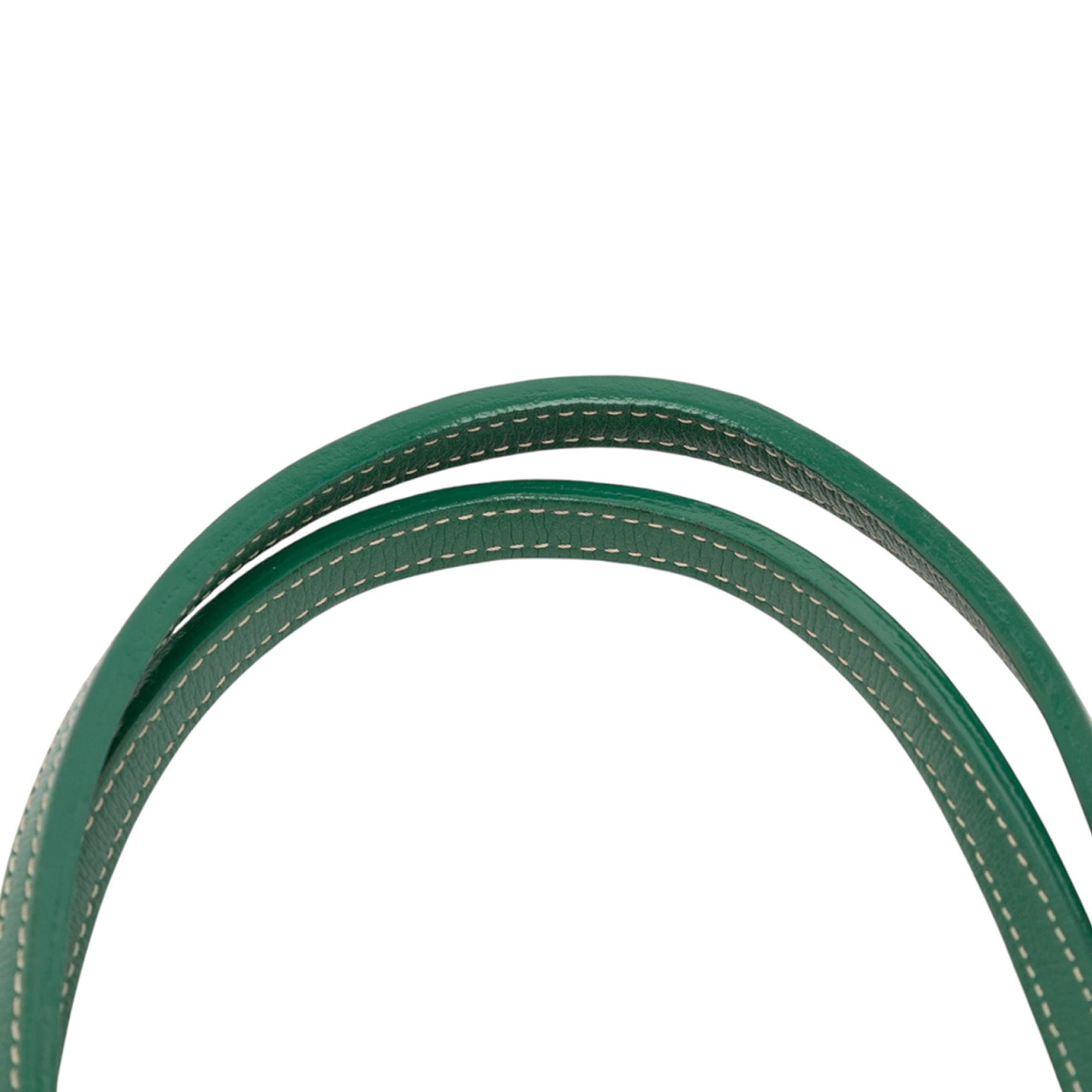 Goyard Goyardine Saint Louis PM - image 8