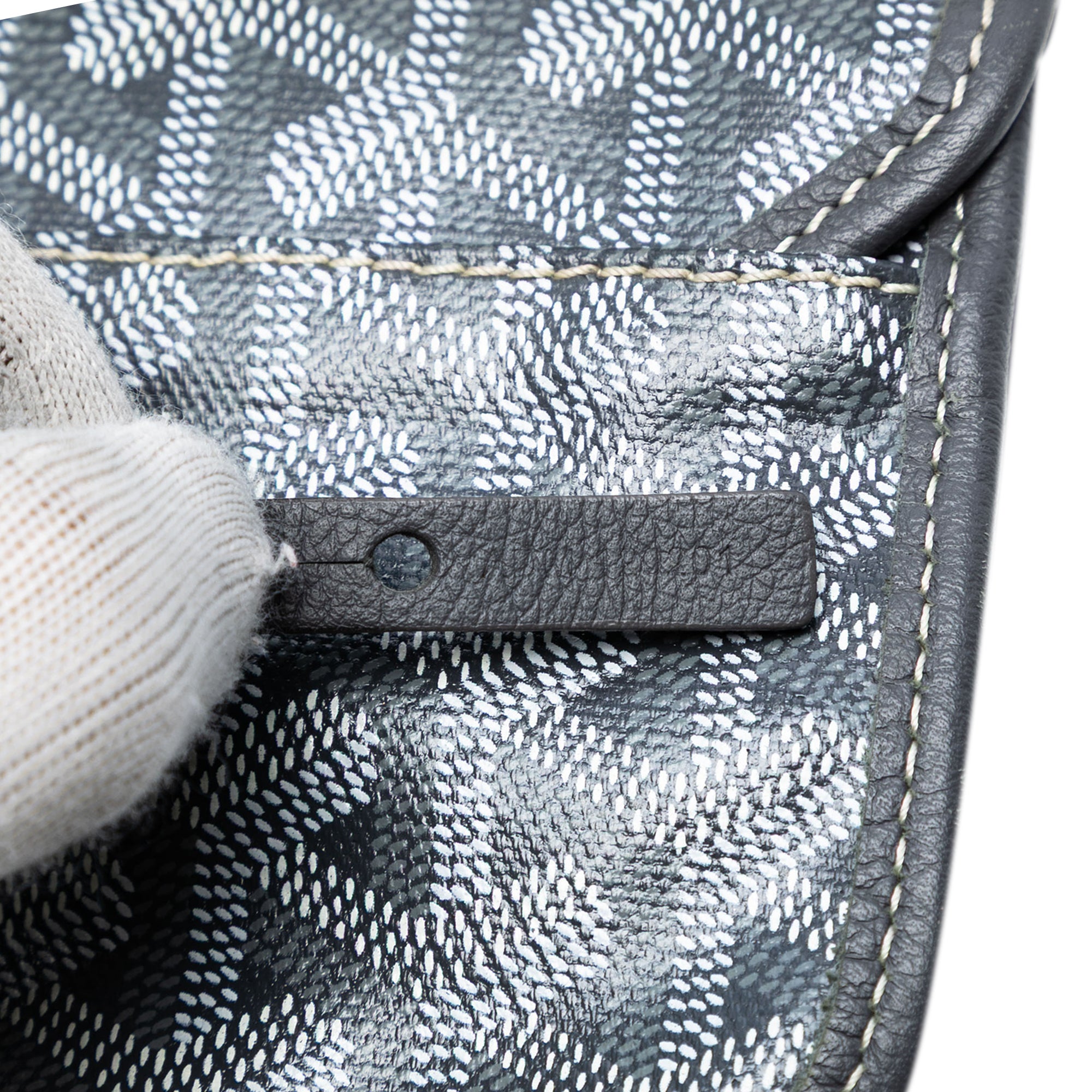 Goyard Goyardine Saint Louis PM - image 6