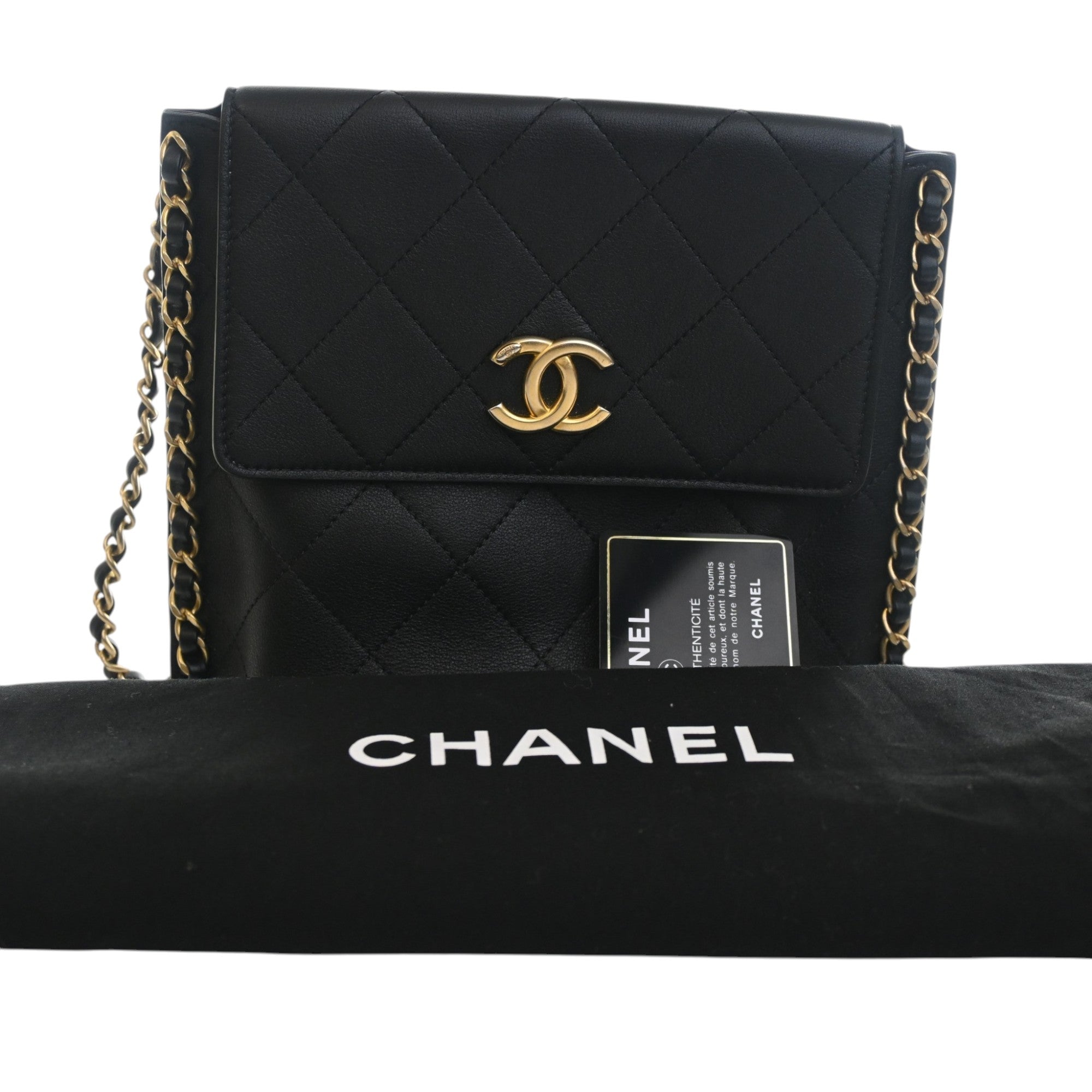 Chanel Small Quilted Calfskin Chain Hobo Flap - image 15