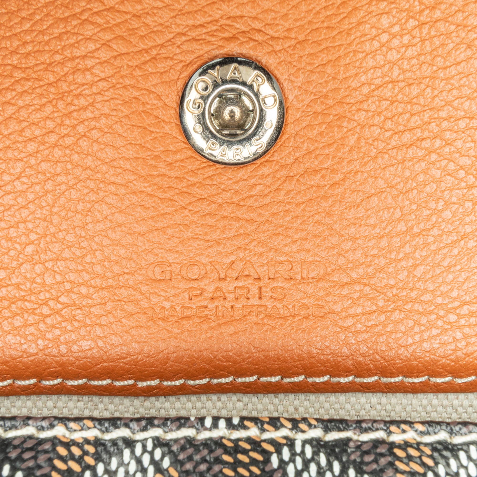 Goyard Goyardine Saint Louis PM - image 5