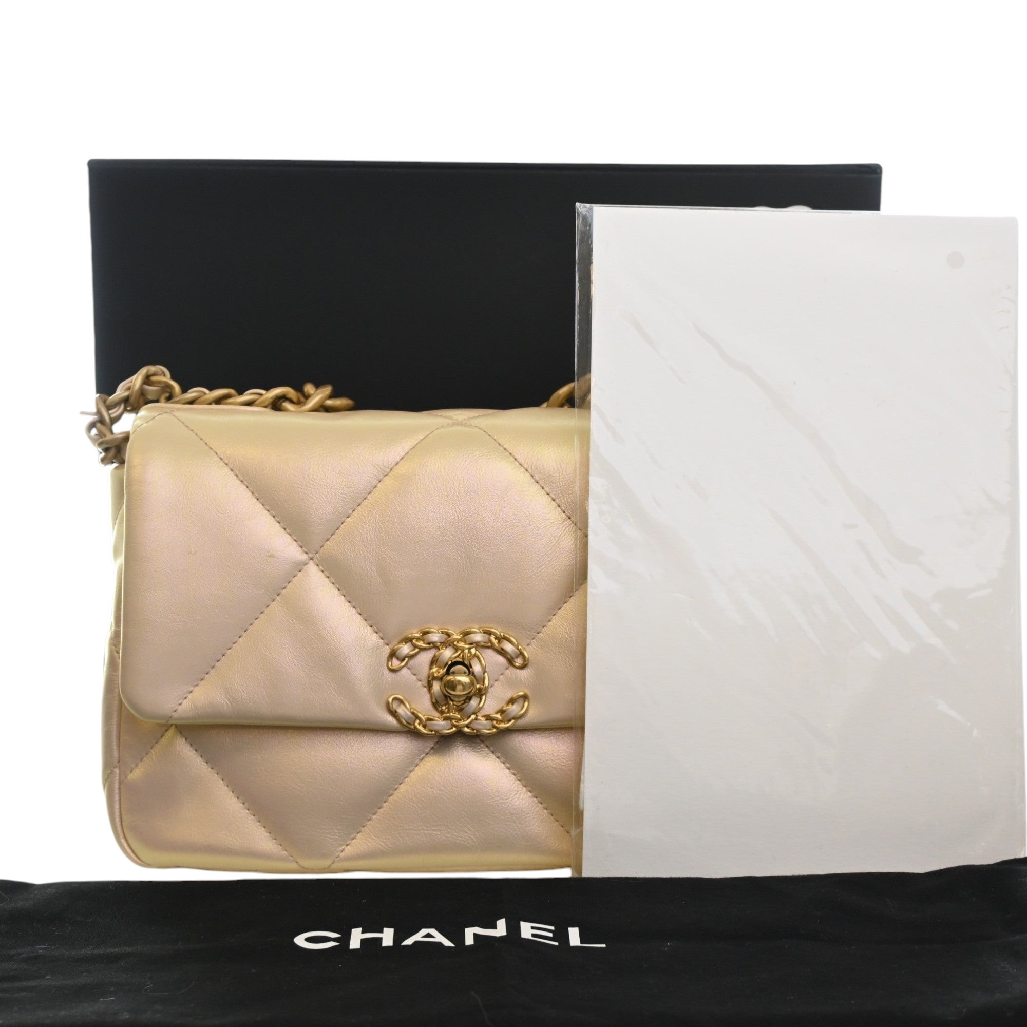 Chanel Medium Iridescent Lambskin 19 Flap - image 15