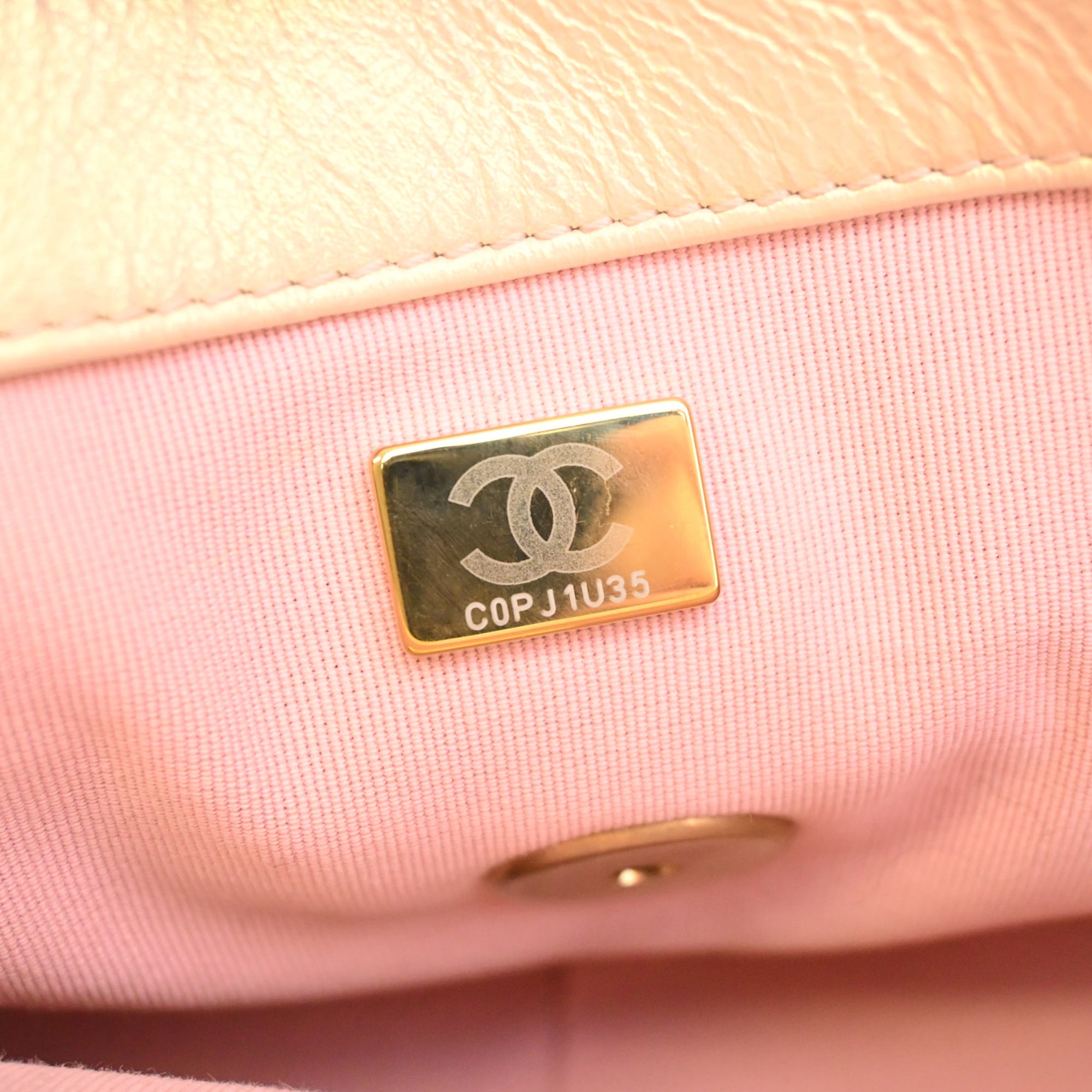 Chanel Medium Iridescent Lambskin 19 Flap - image 7