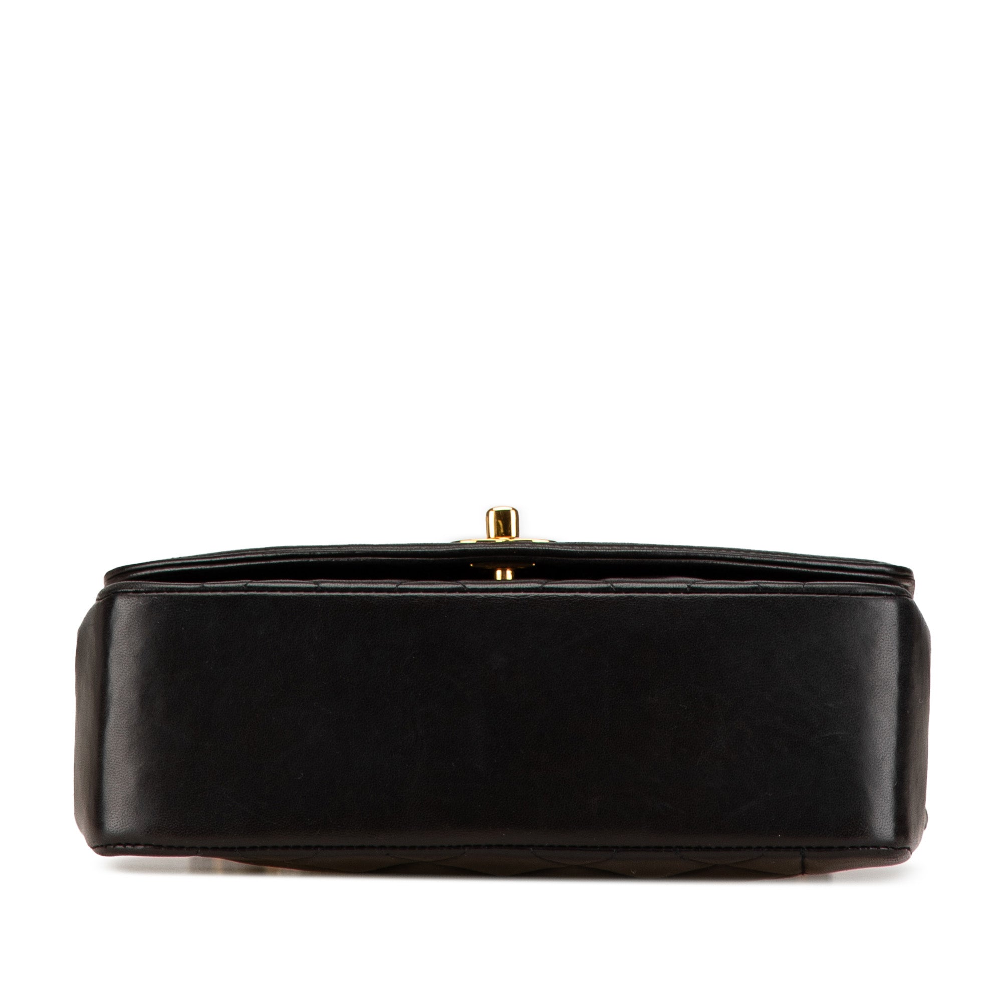Chanel Medium Lambskin Diana Flap - image 3