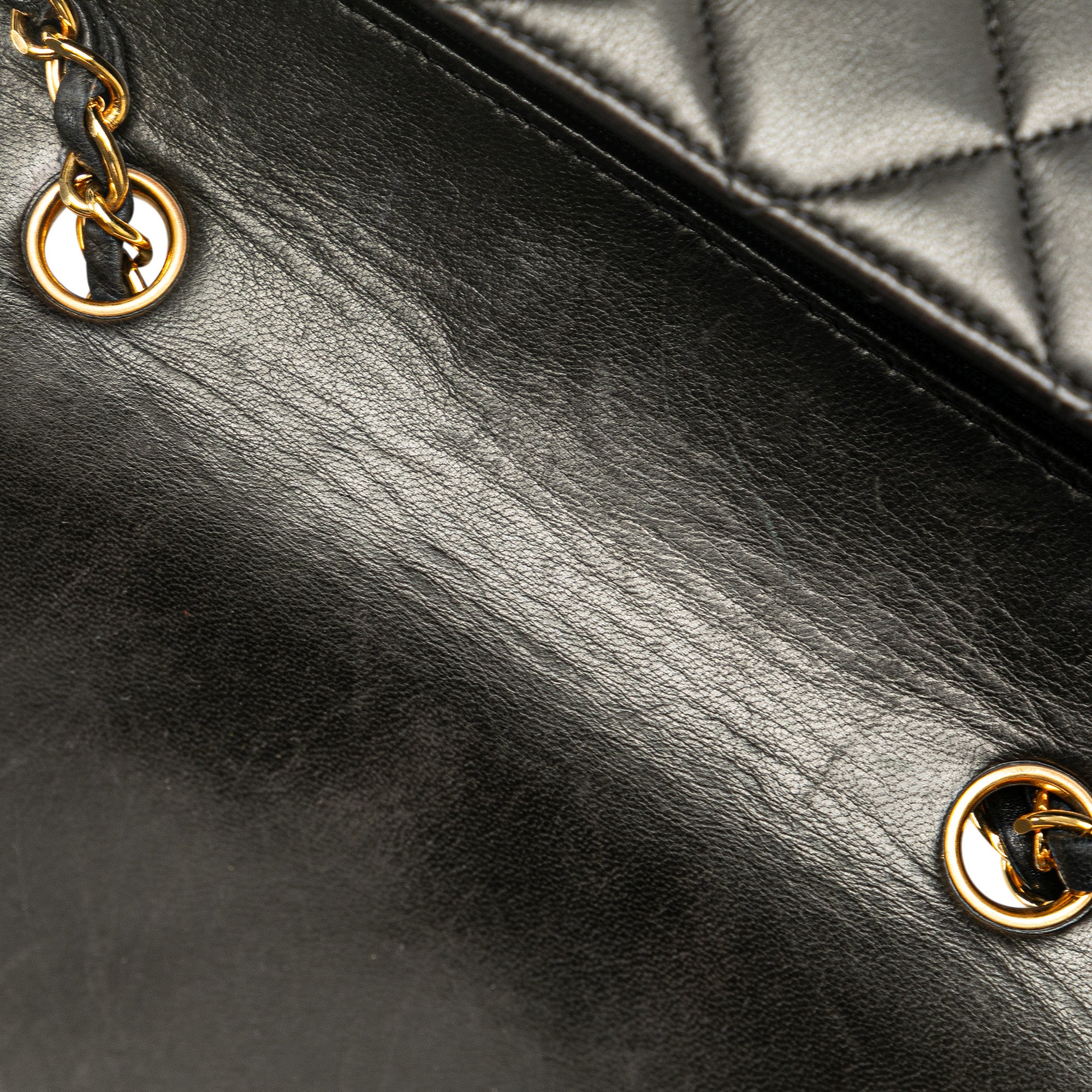Chanel Medium Lambskin Diana Flap - image 8