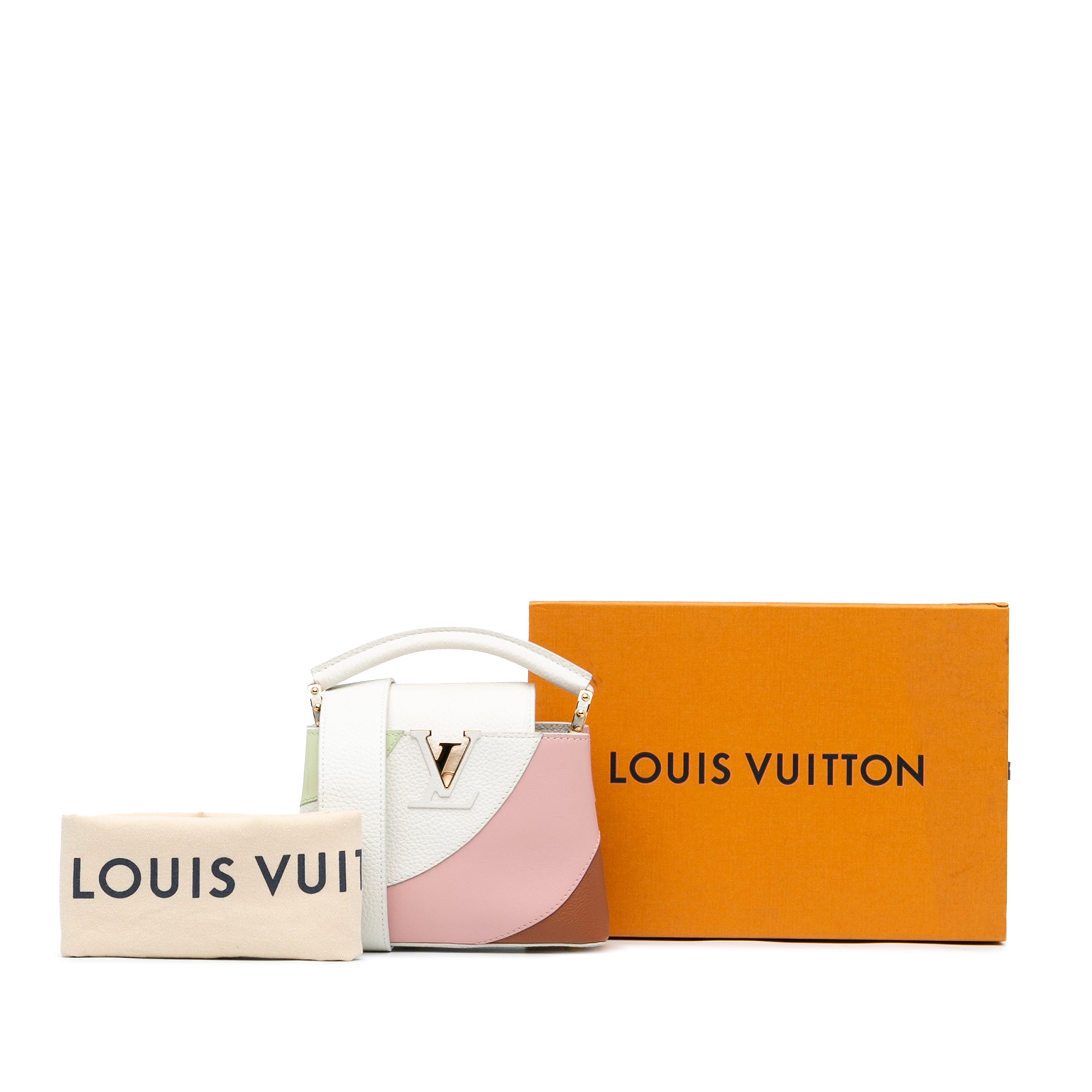 Louis Vuitton Taurillon Gelato Mini Capucines - image 9