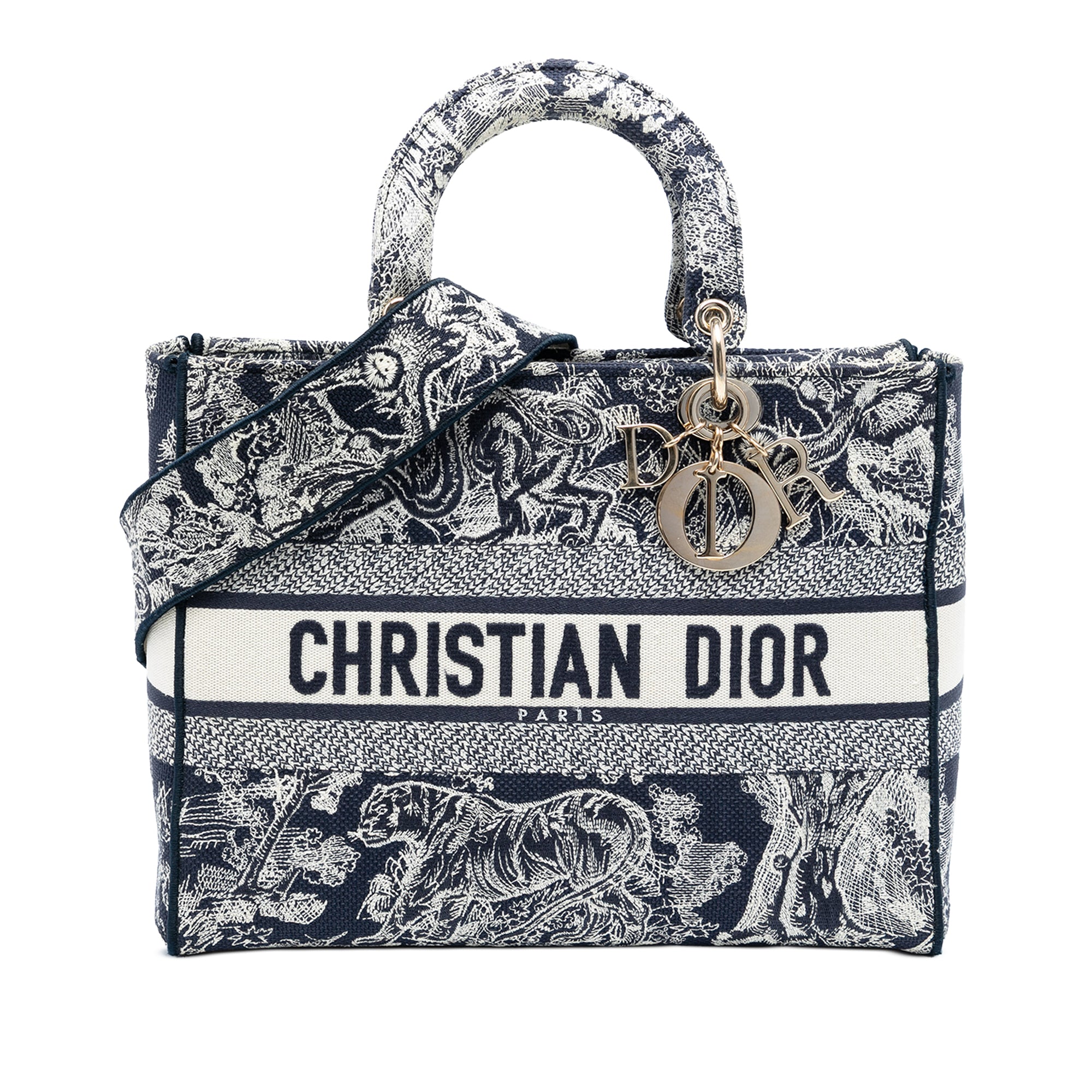 Dior Large Embroidered Canvas Toile de Jouy Lady D Lite - image 1