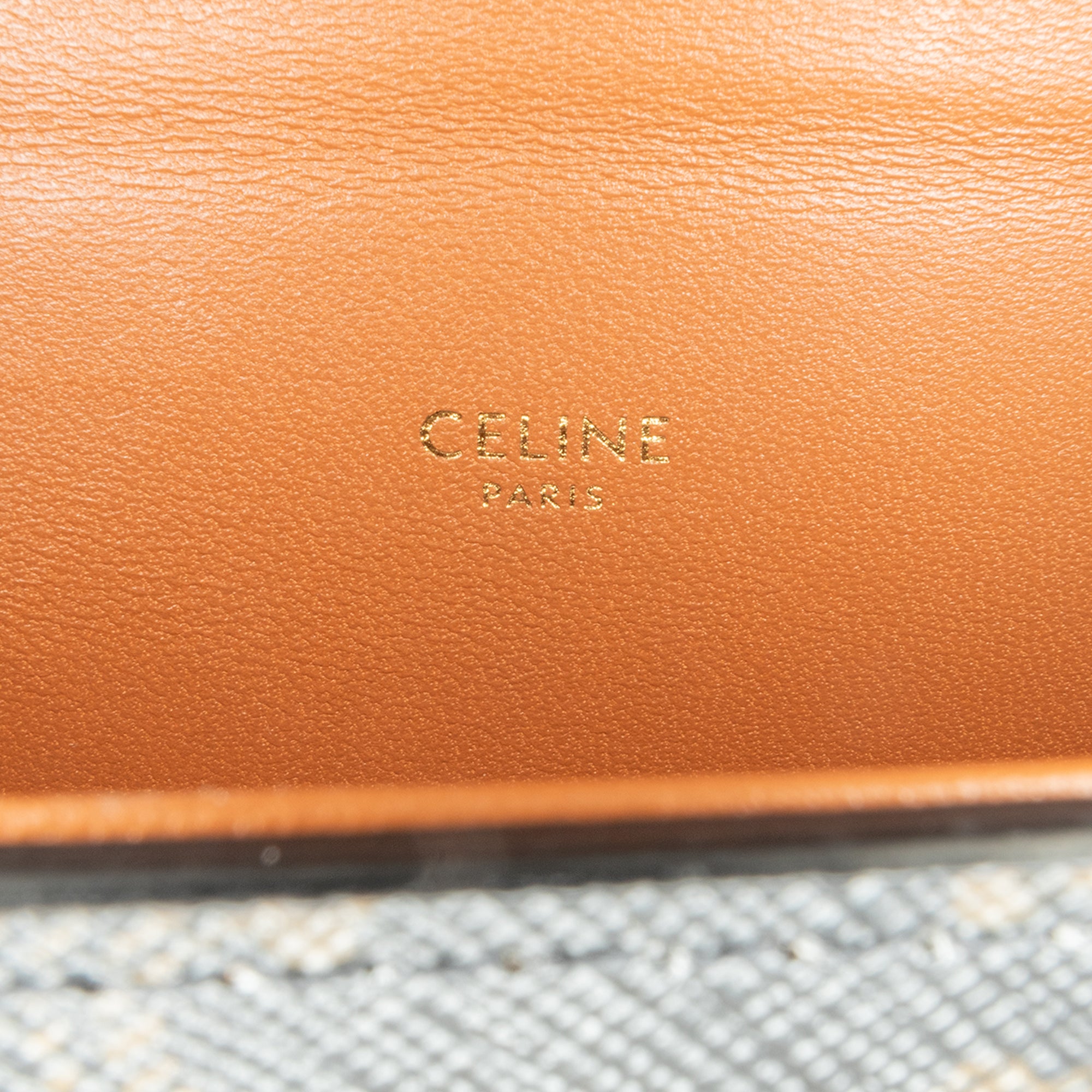 Celine Triomphe Coated Canvas Box Top Handle Bag - image 5
