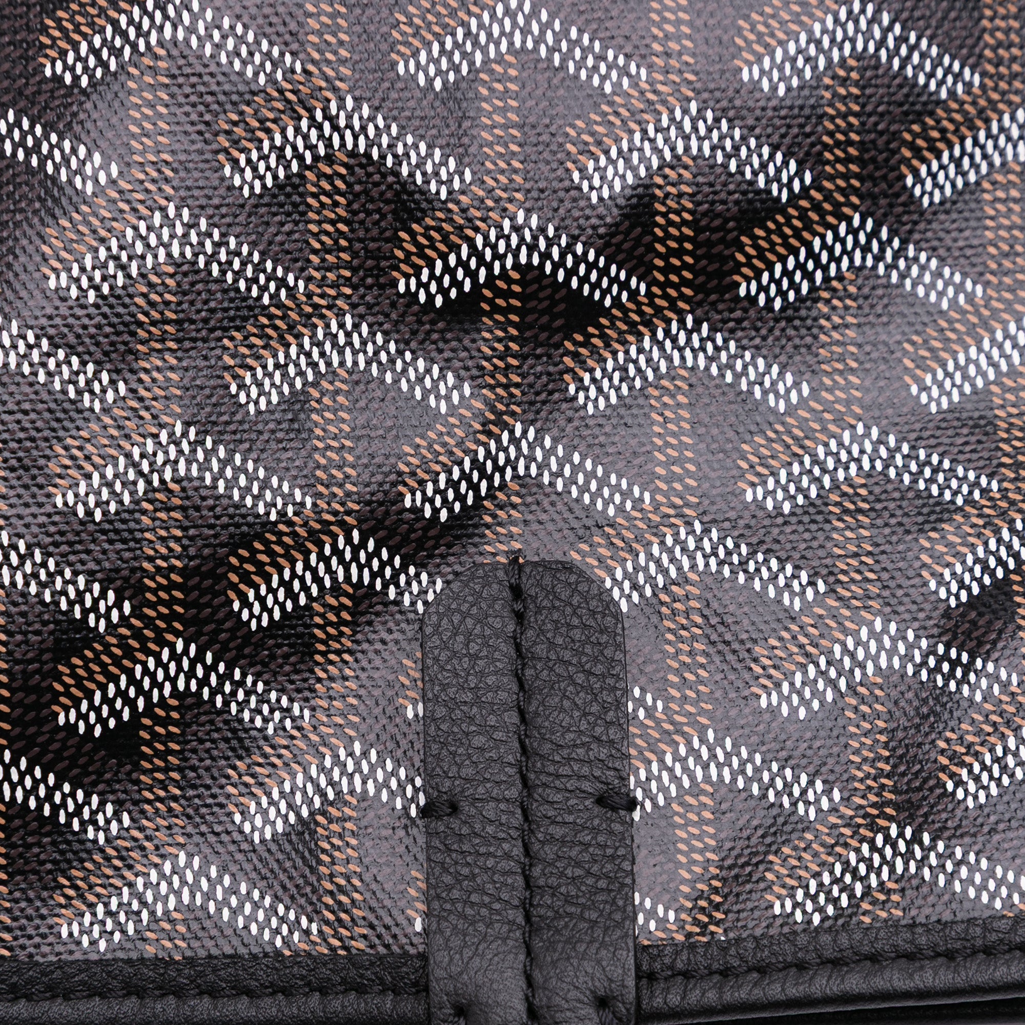 Goyard Goyardine Saint Louis PM - image 10