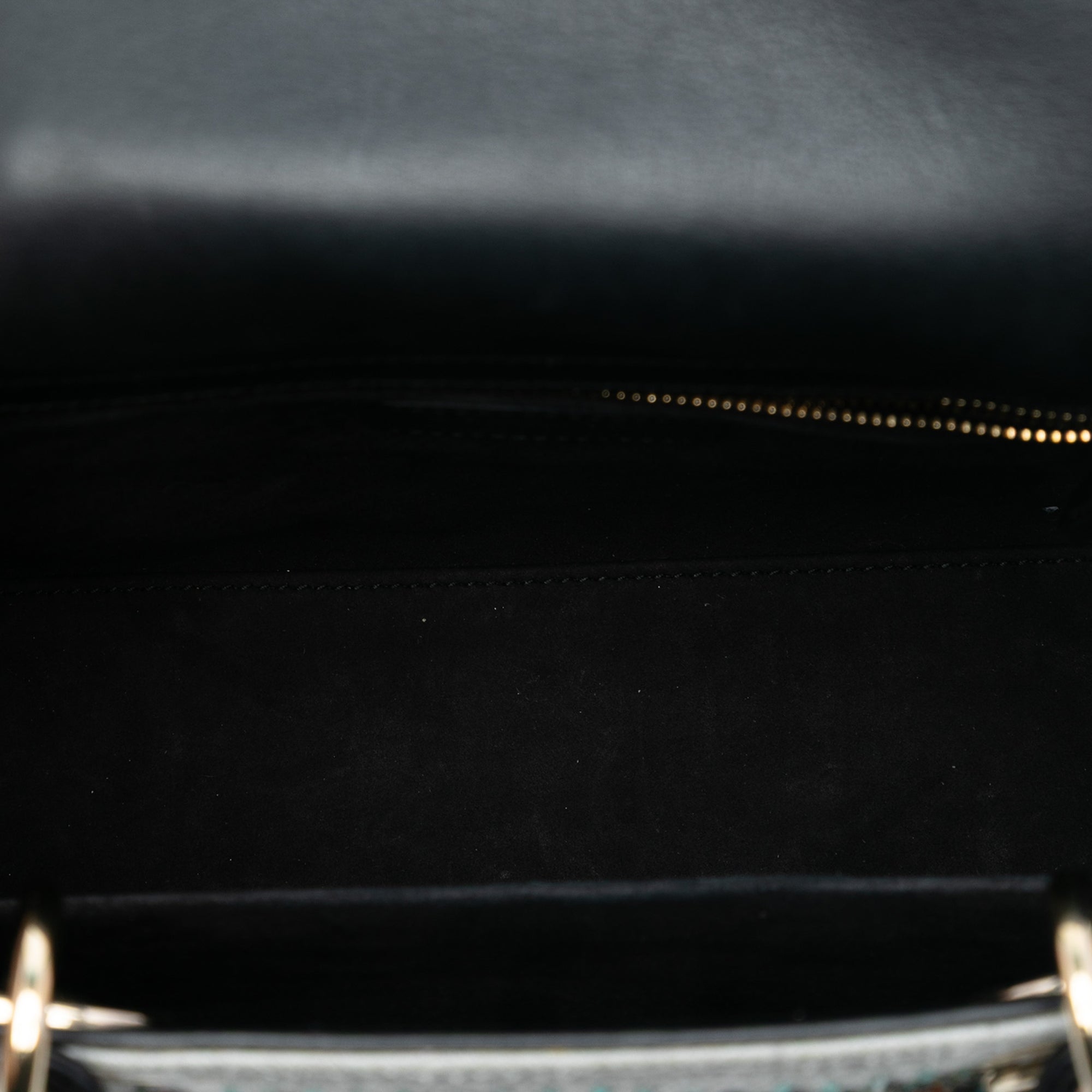 Dior Medium Canvas and Calfskin Beaded Embroidered Jardin De Minuit Lady Dior - image 4