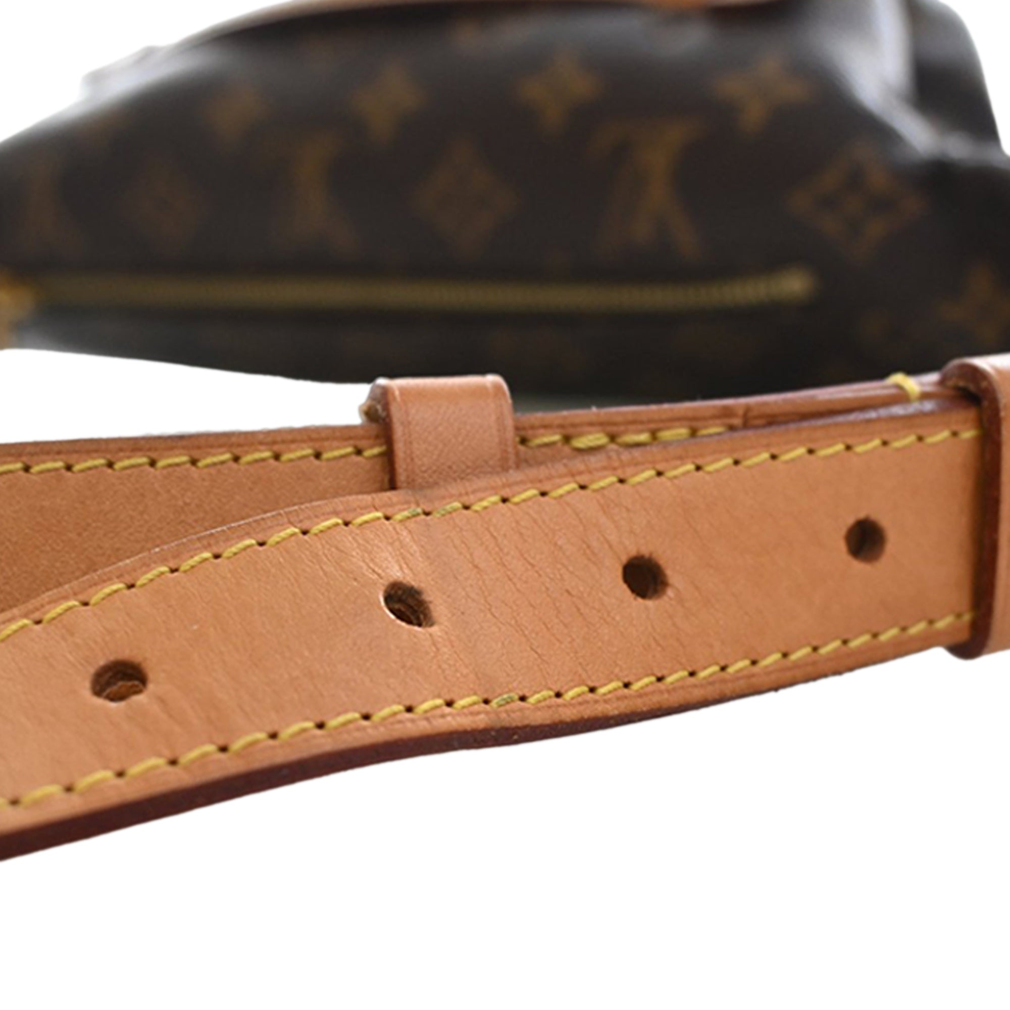 Louis Vuitton Monogram Bumbag - image 10