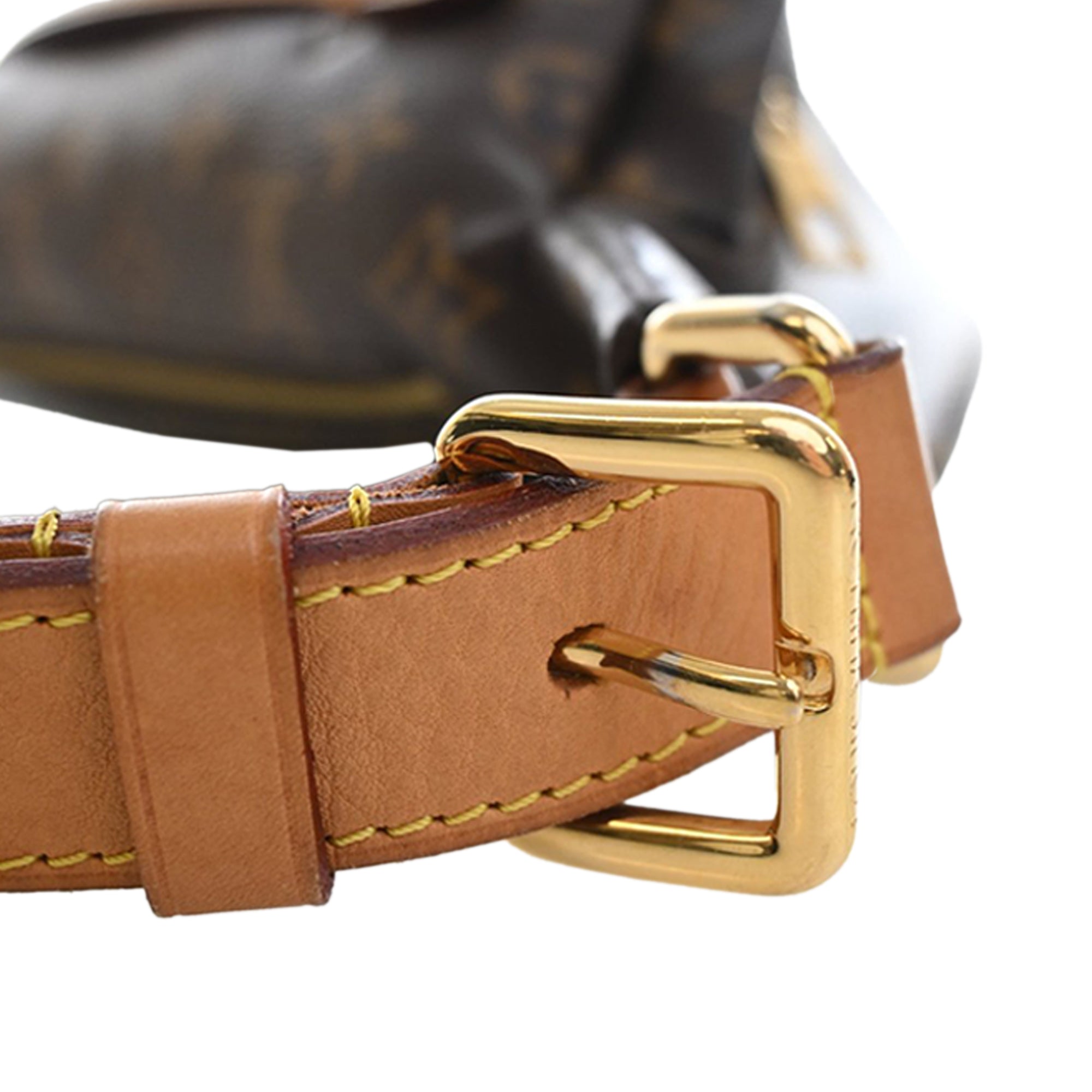 Louis Vuitton Monogram Bumbag - image 12