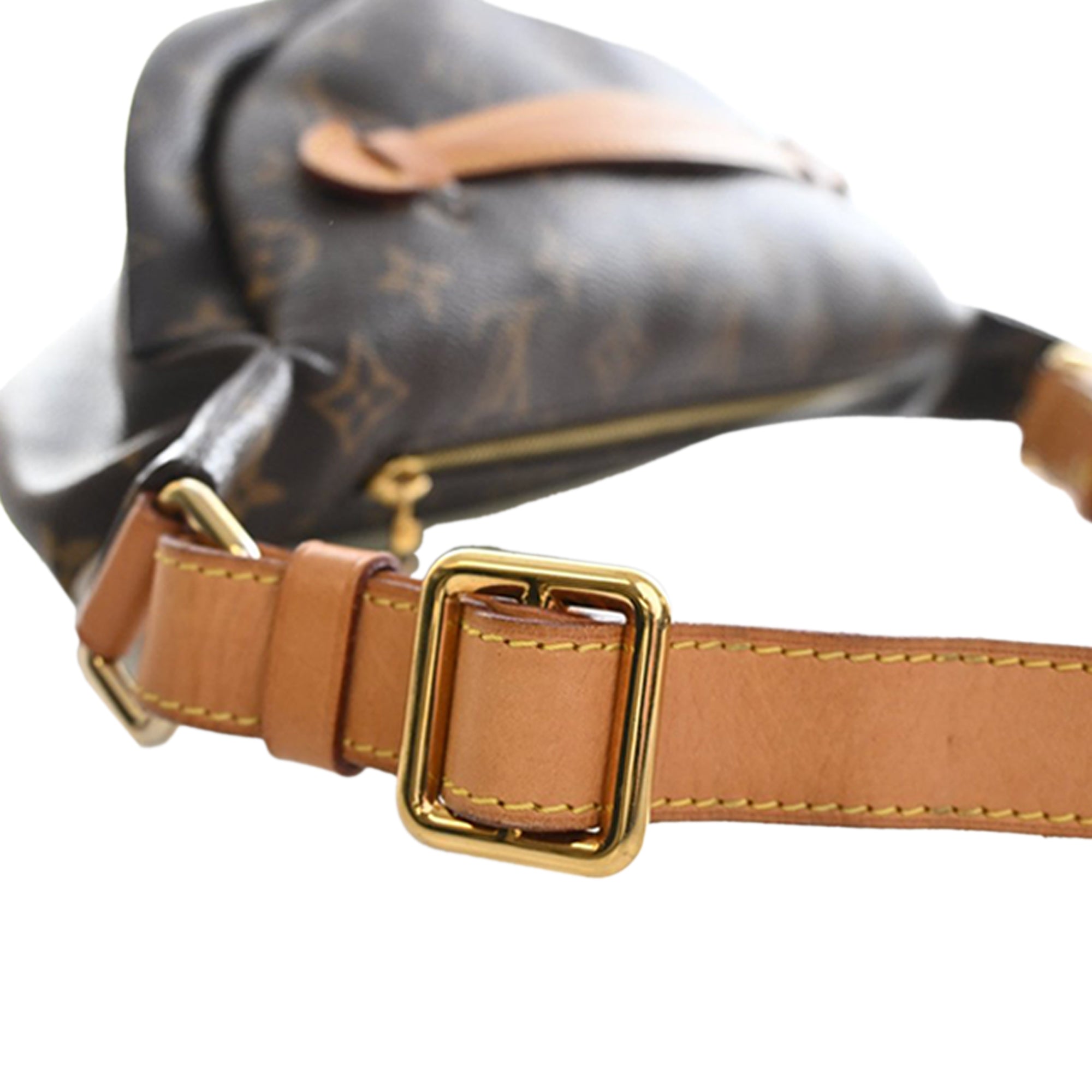 Louis Vuitton Monogram Bumbag - image 13