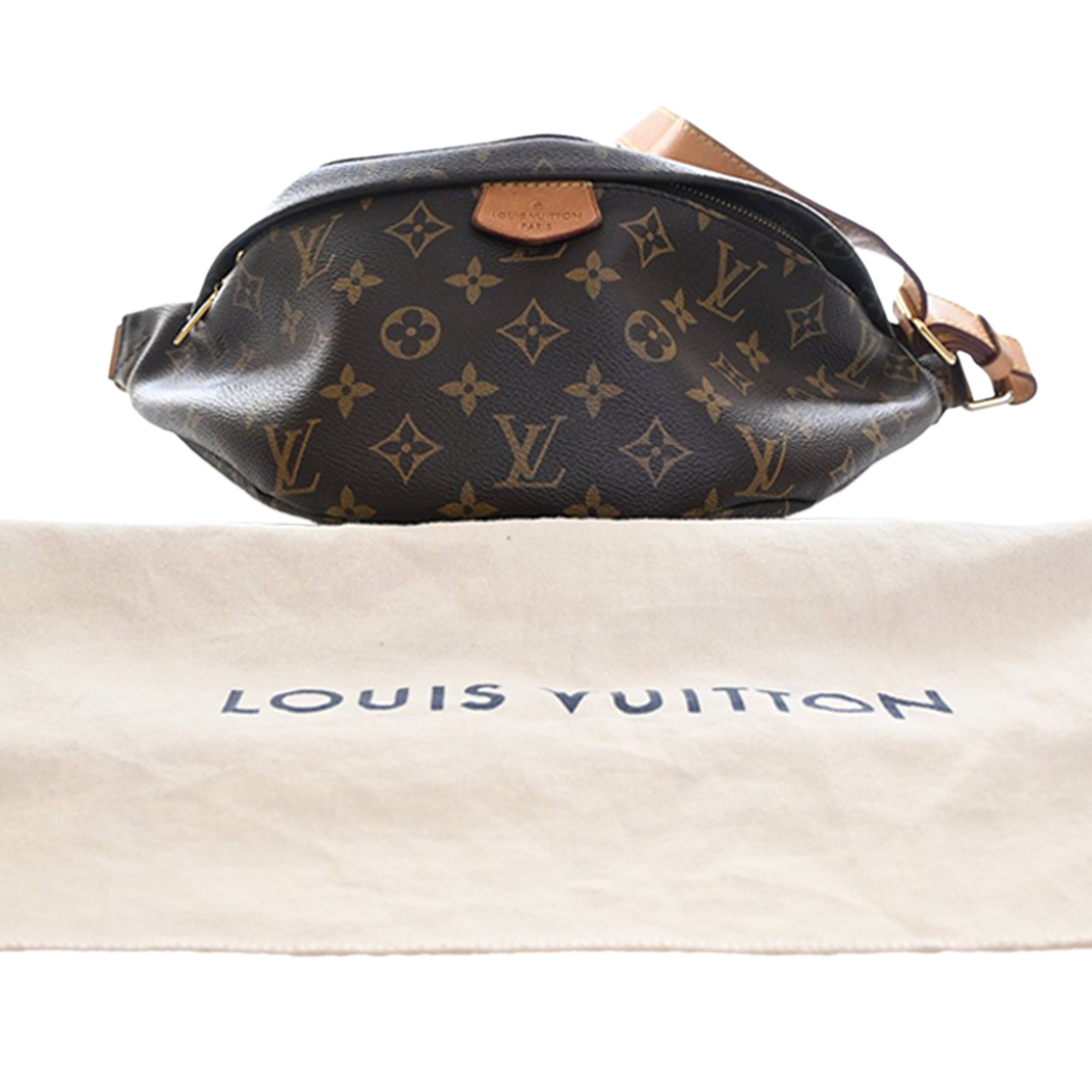 Louis Vuitton Monogram Bumbag - image 15